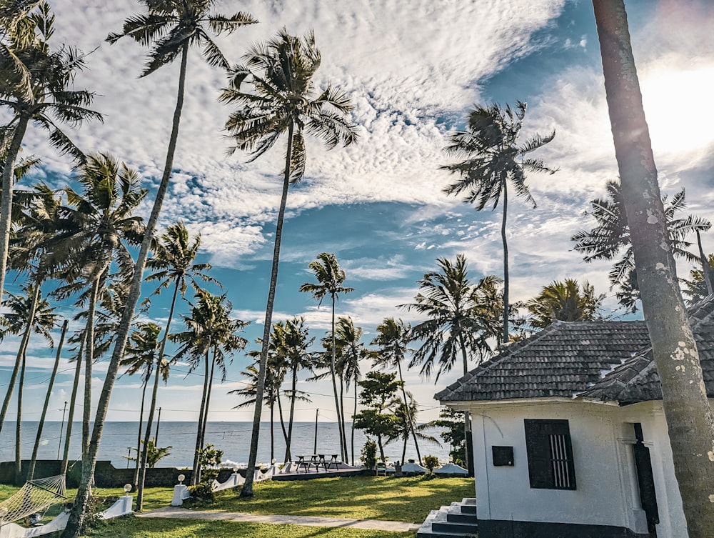 a small white house surrounded by palm trees