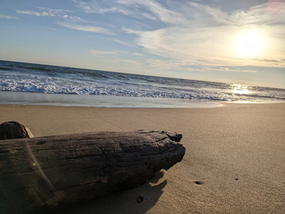 a log laying on a beach next to the ocean