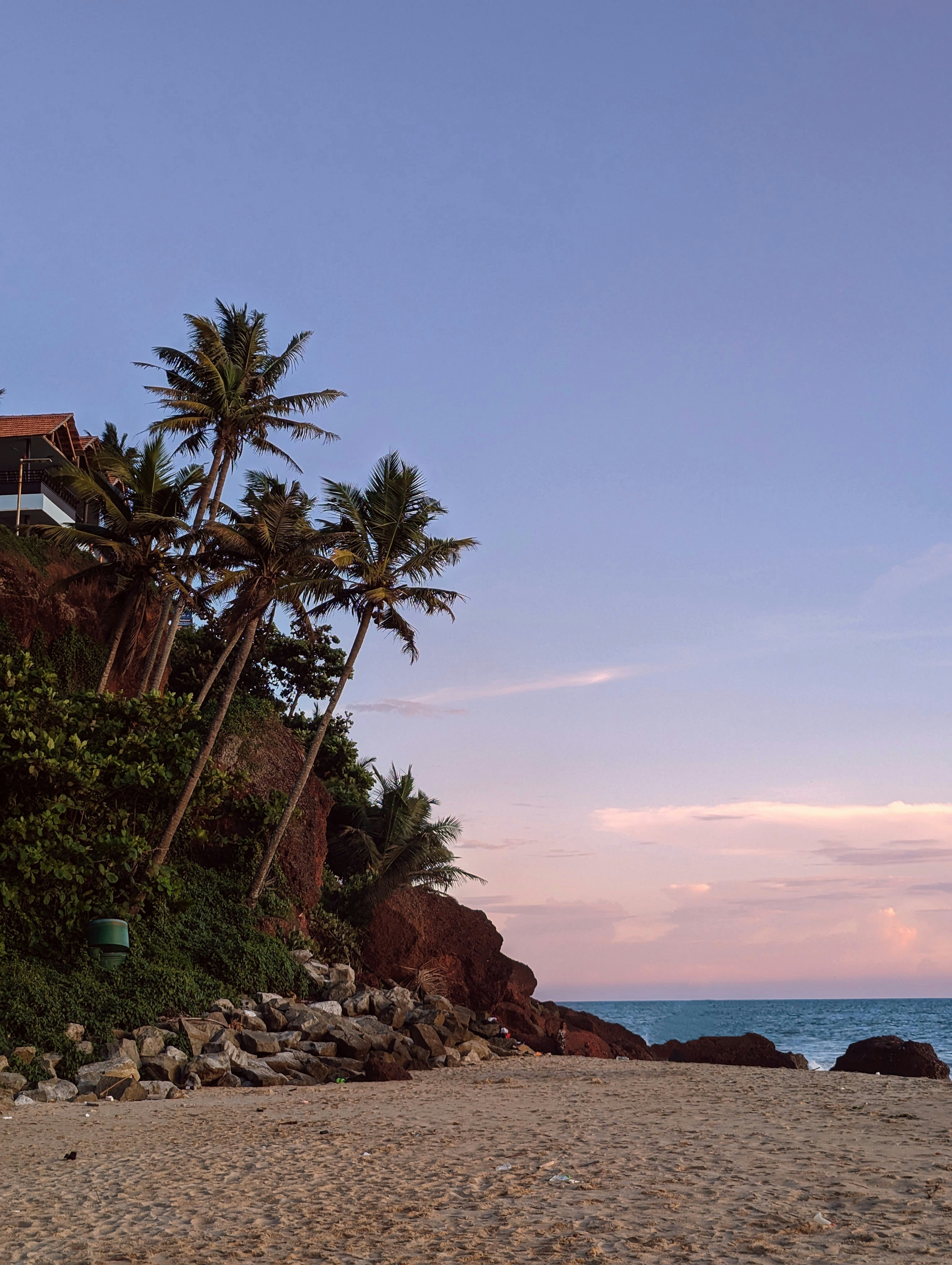 a beach with palm trees and a house on top of a hill