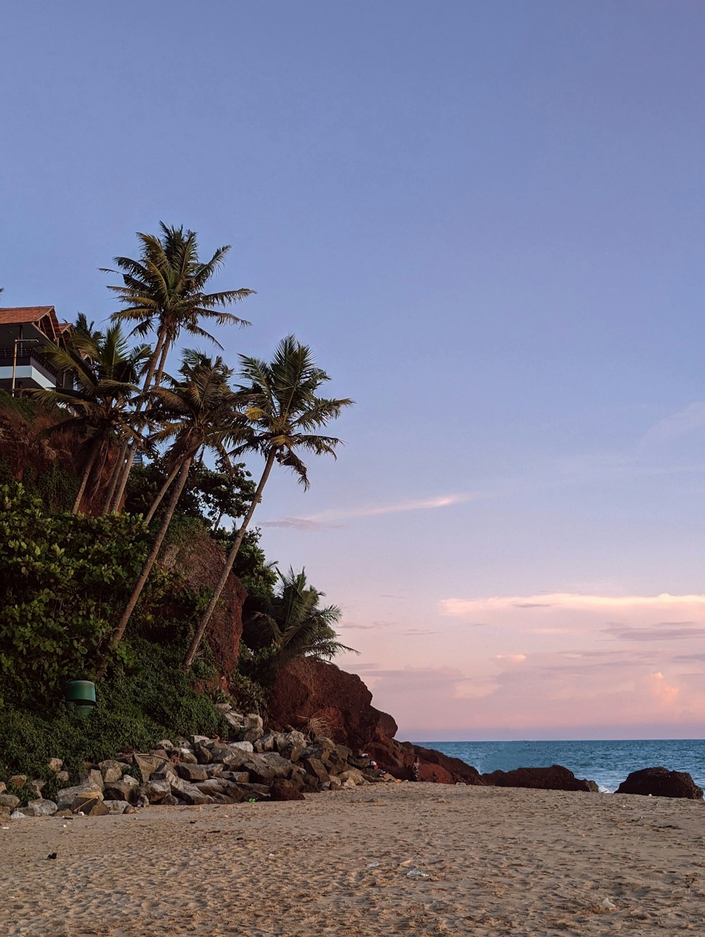 a beach with palm trees and a house on top of a hill