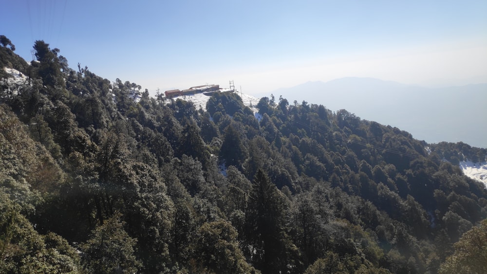 a view of the top of a mountain covered in trees