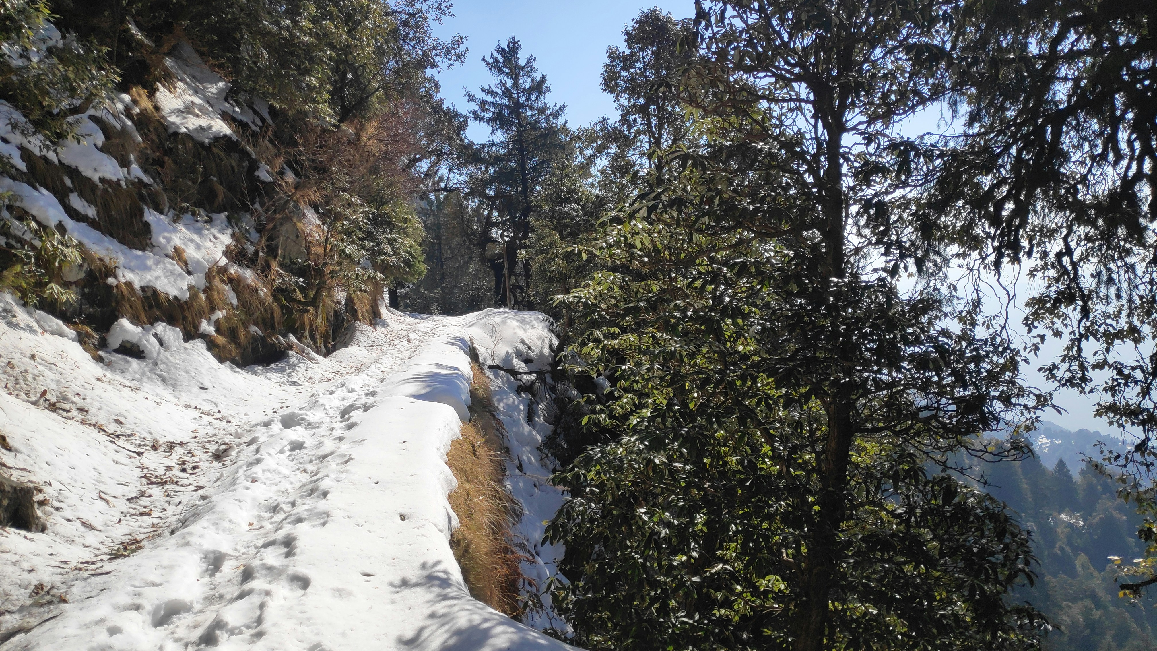 A snow covered path in the middle of a forest photo – Free Winch camp ...