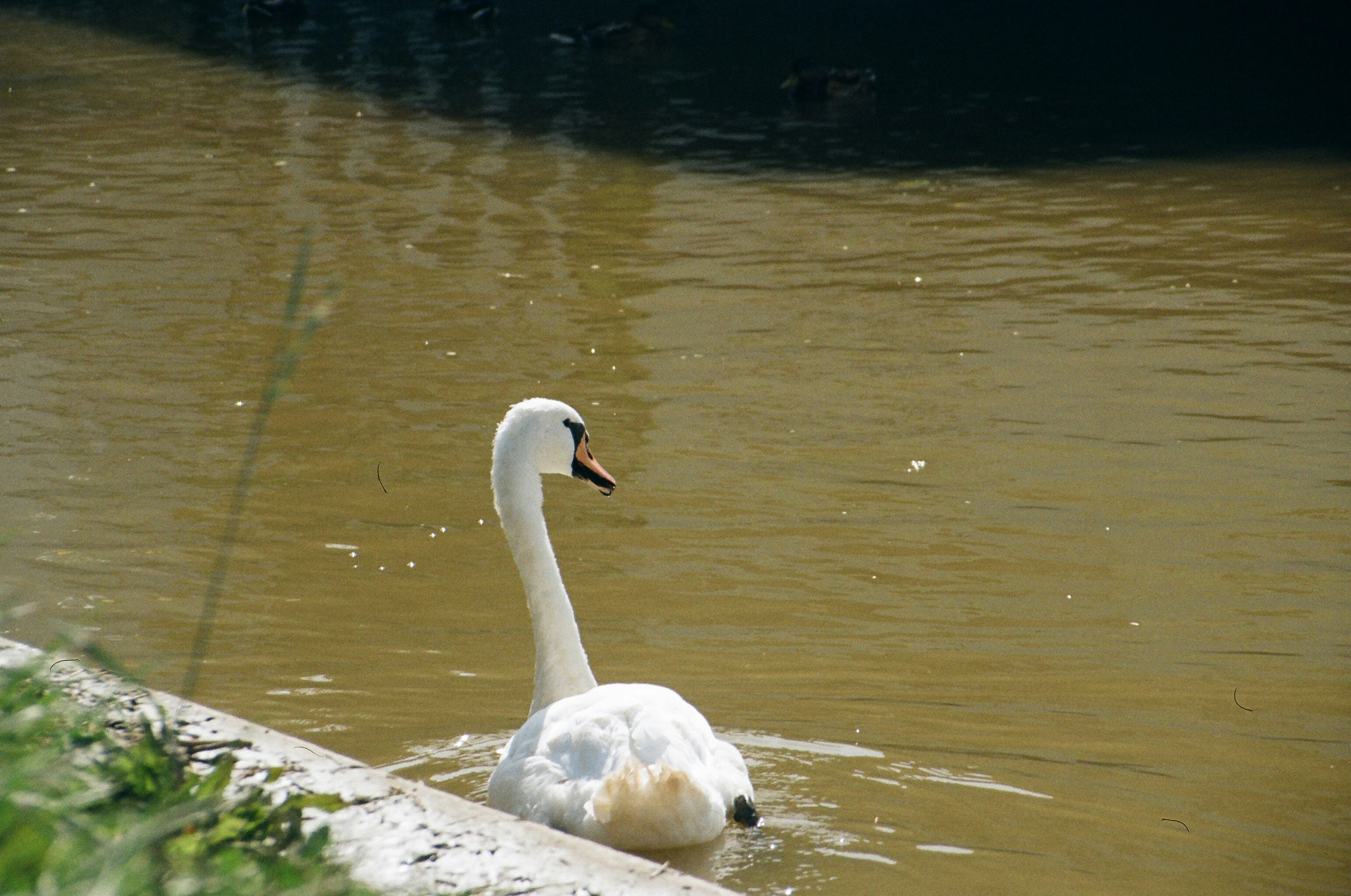 Photo by thesilvafocus