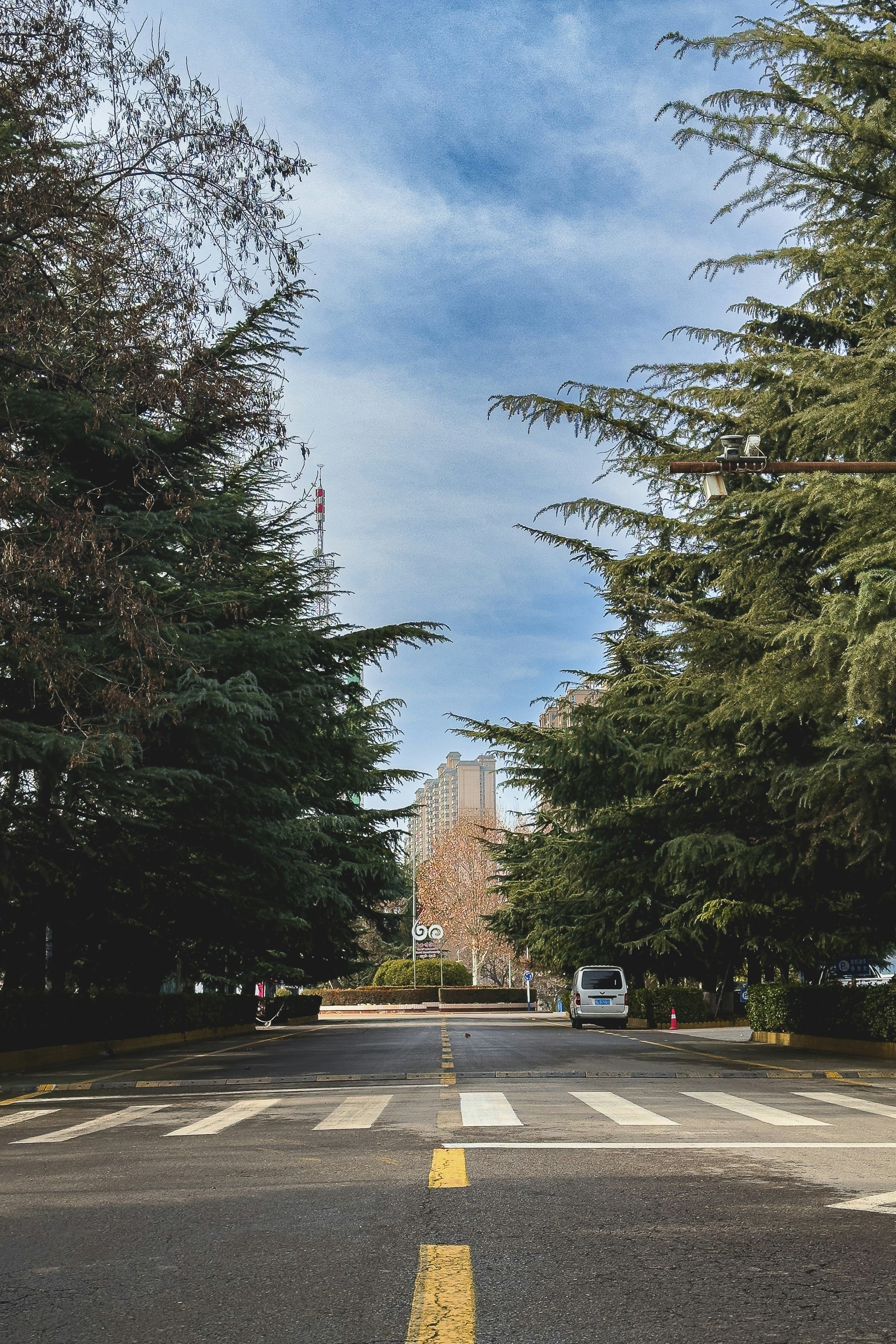 una calle con árboles y una furgoneta al lado de la carretera