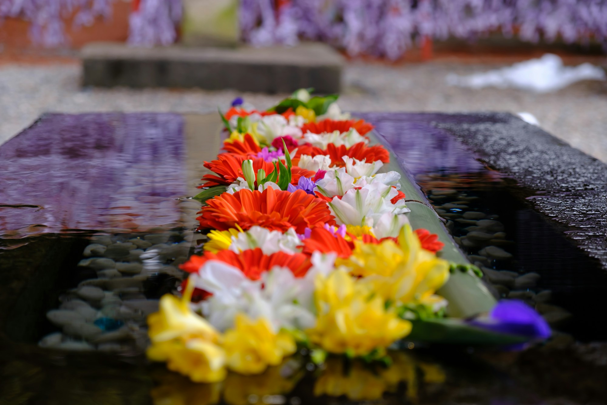 Best Time to Visit Ishikawa: Weather Guide by Month