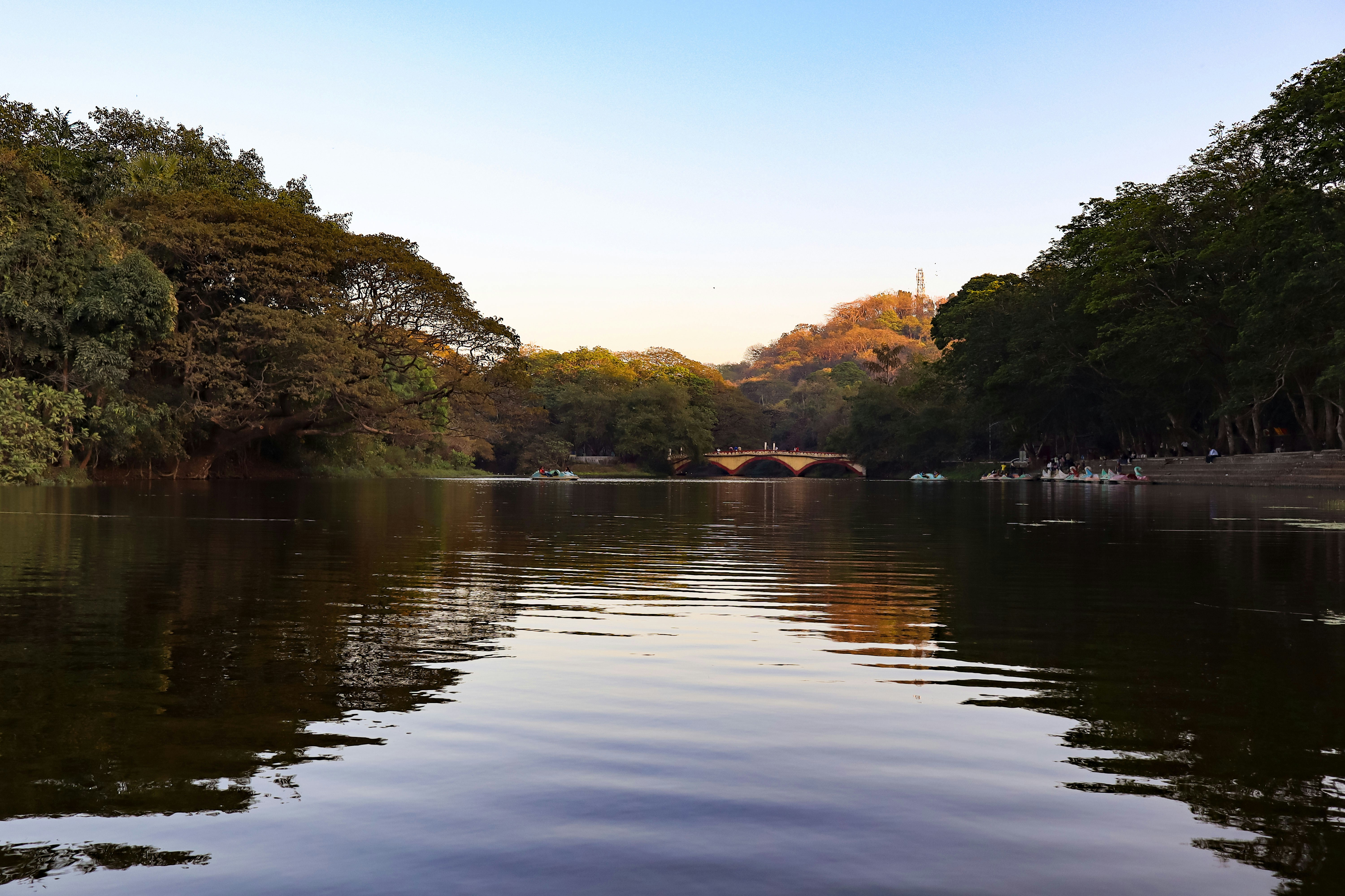 Sanjay Gandhi National Park photo 2