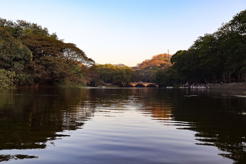 a body of water surrounded by trees and a bridge