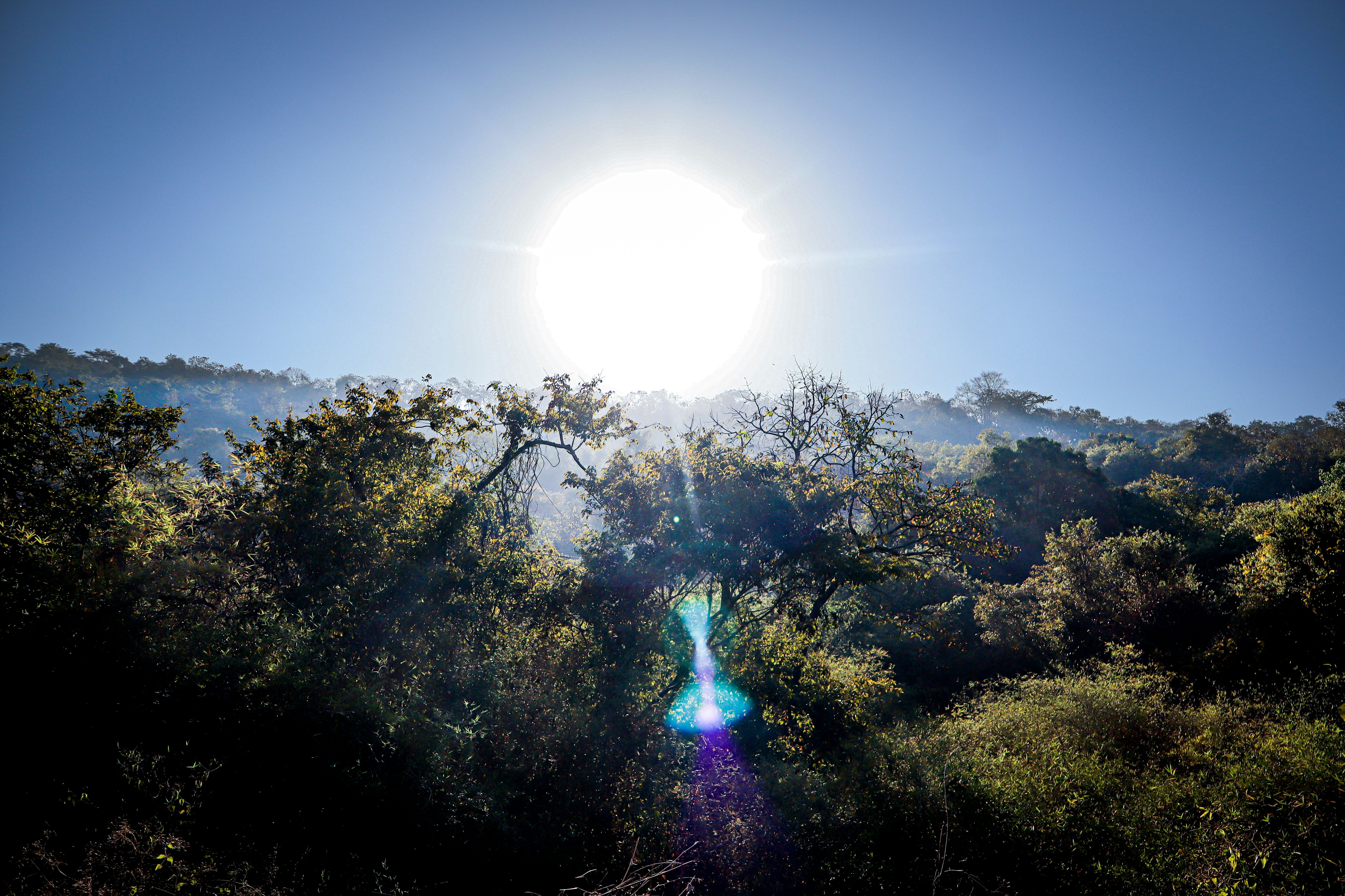 Photo by amitjaiswar