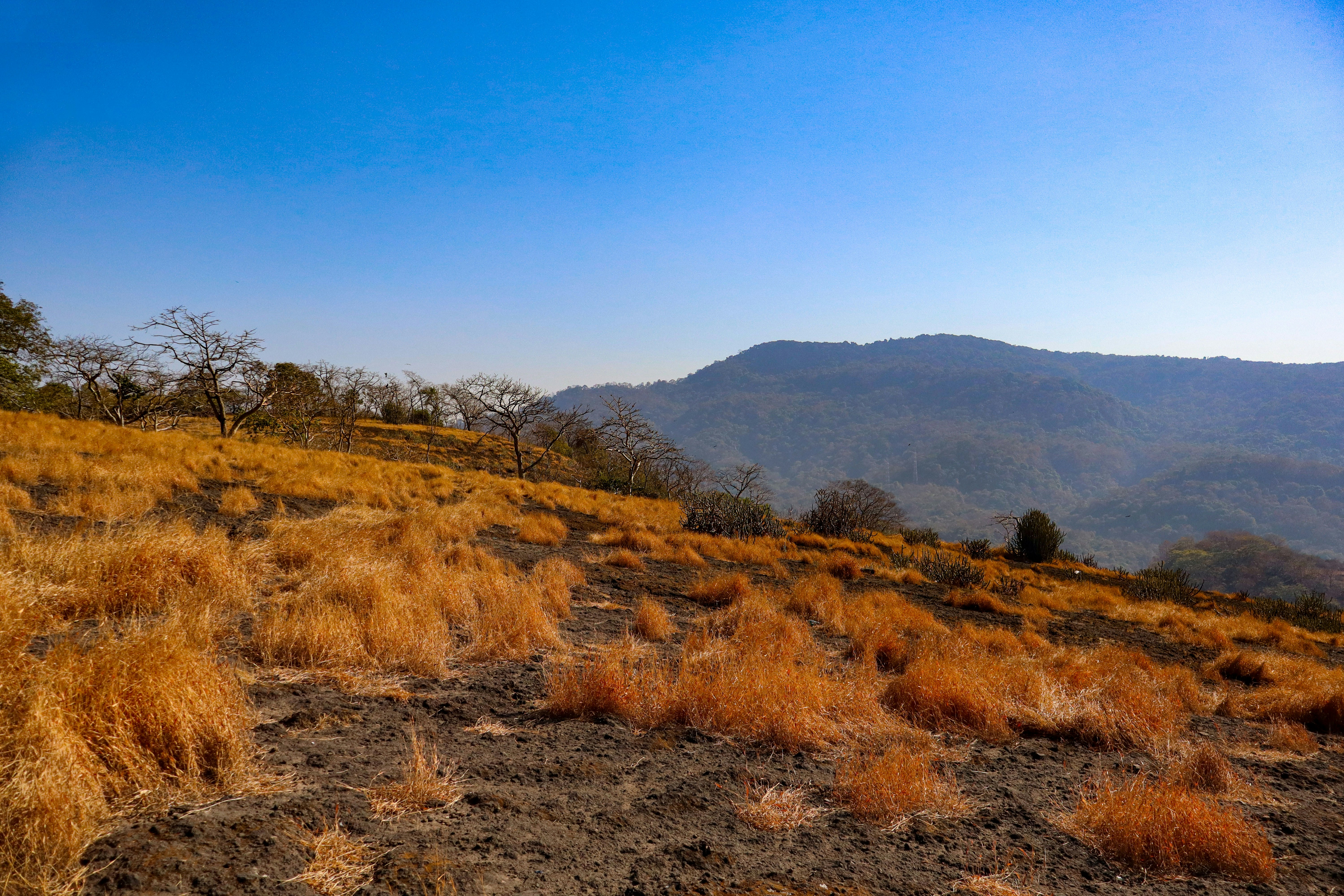 Photo by amitjaiswar