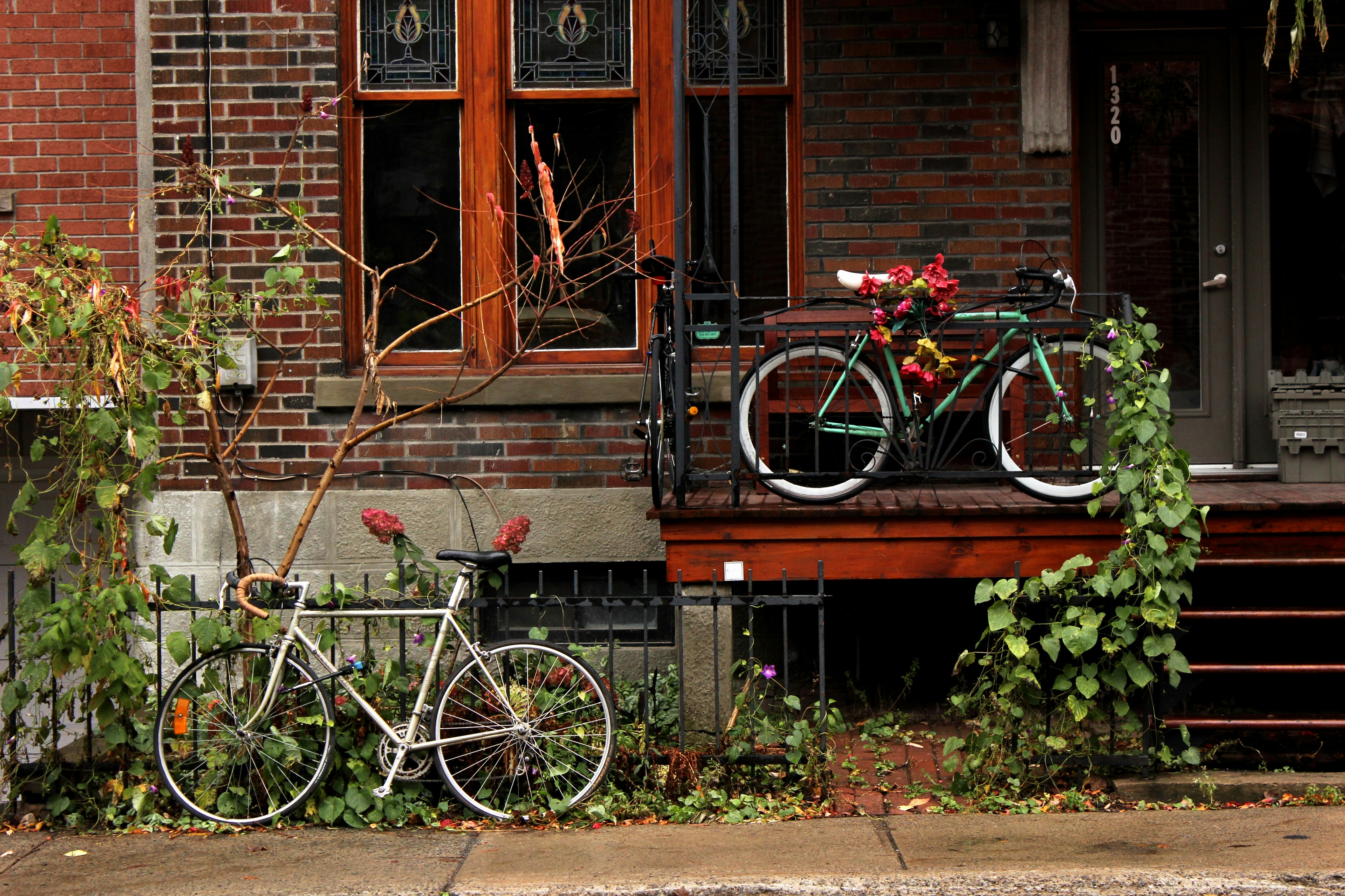 Photo by justine_ft1