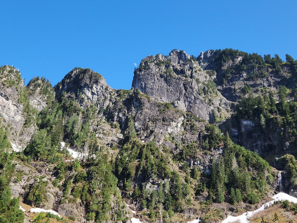 une chaîne de montagnes avec des arbres et de la neige au sol