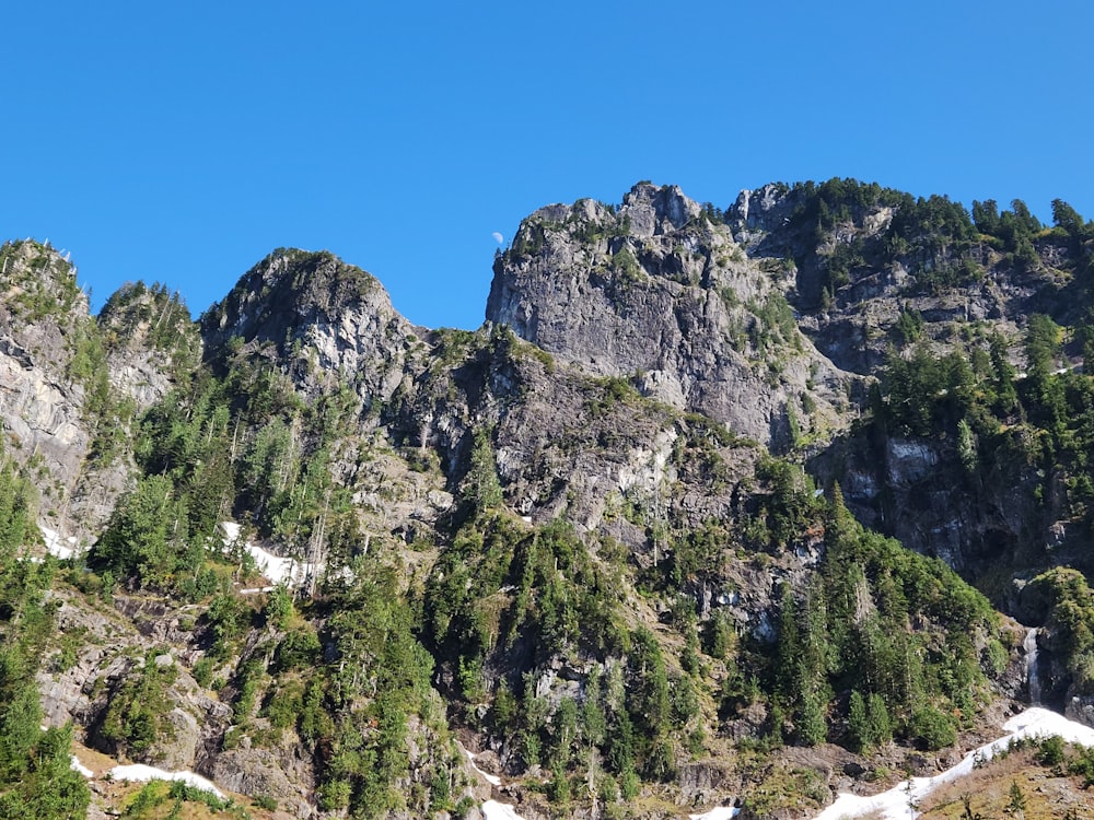 a mountain range with trees and snow on the ground
