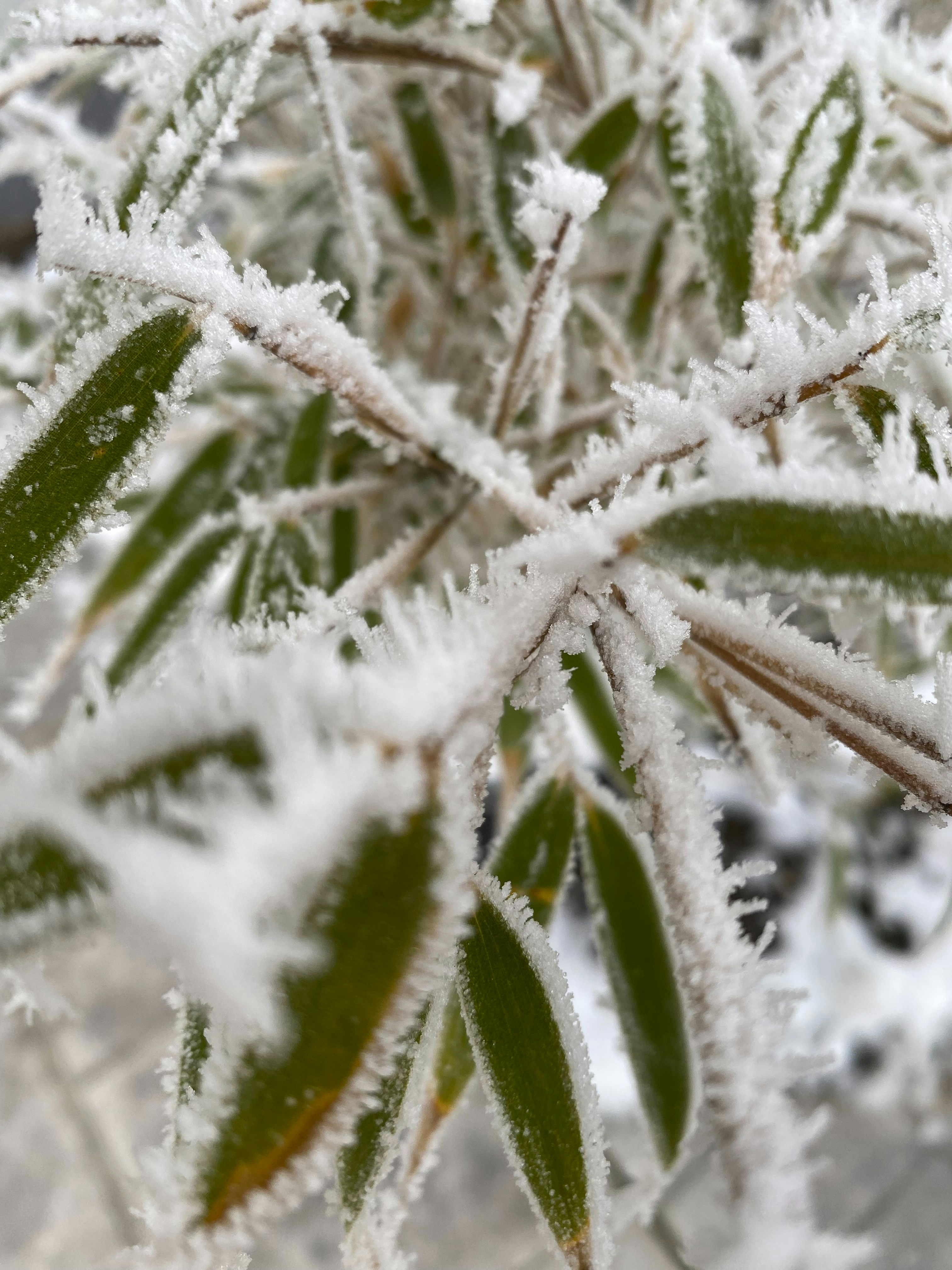 Photo by alexandra_lungu