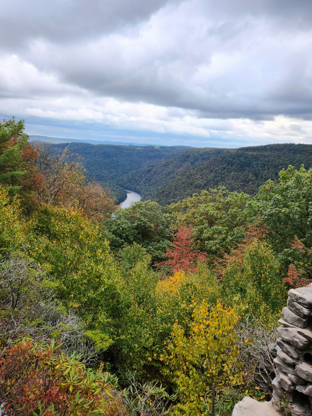 a scenic view of a river in the distance