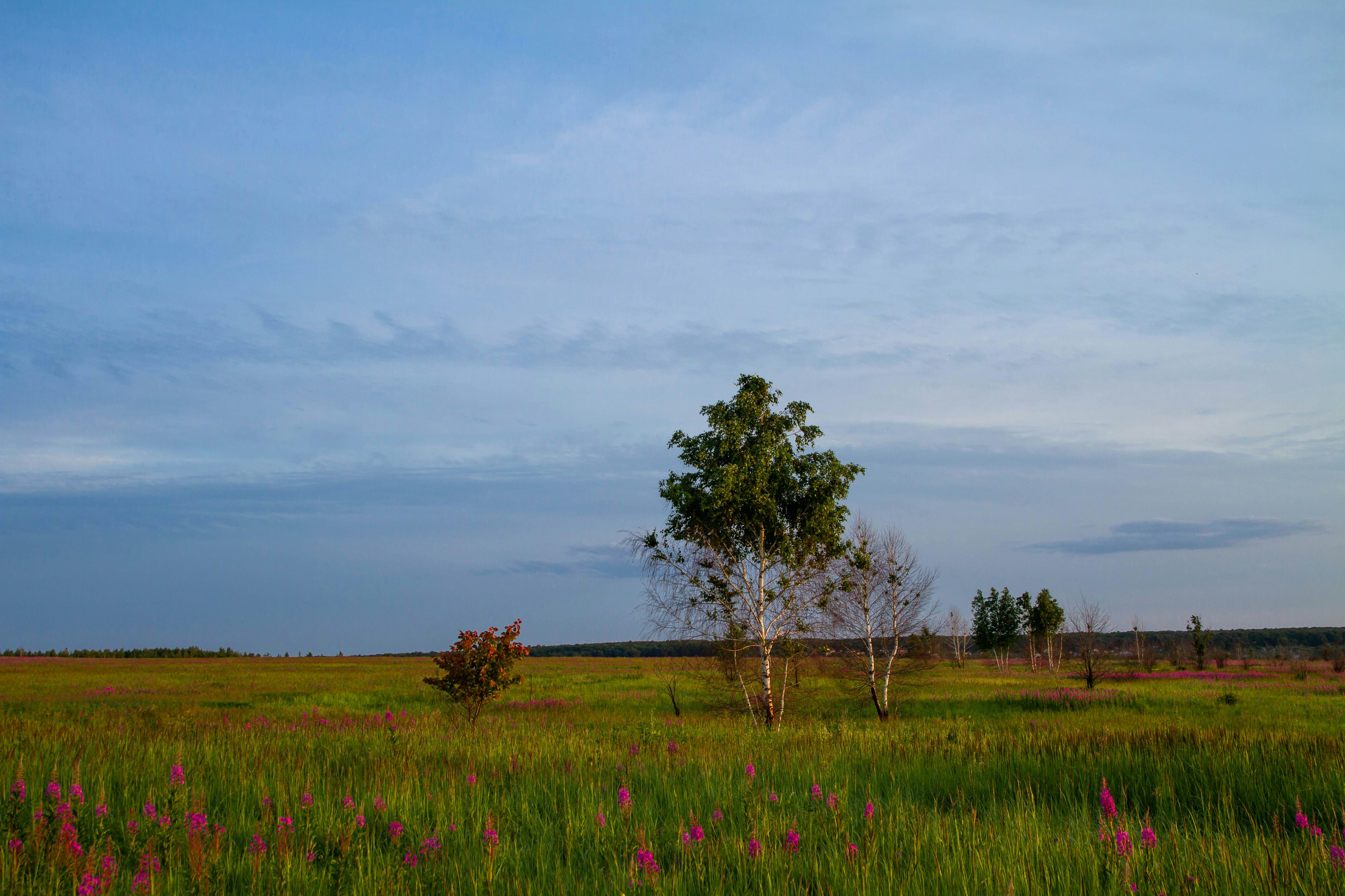 Photo by maksimzaviktorin