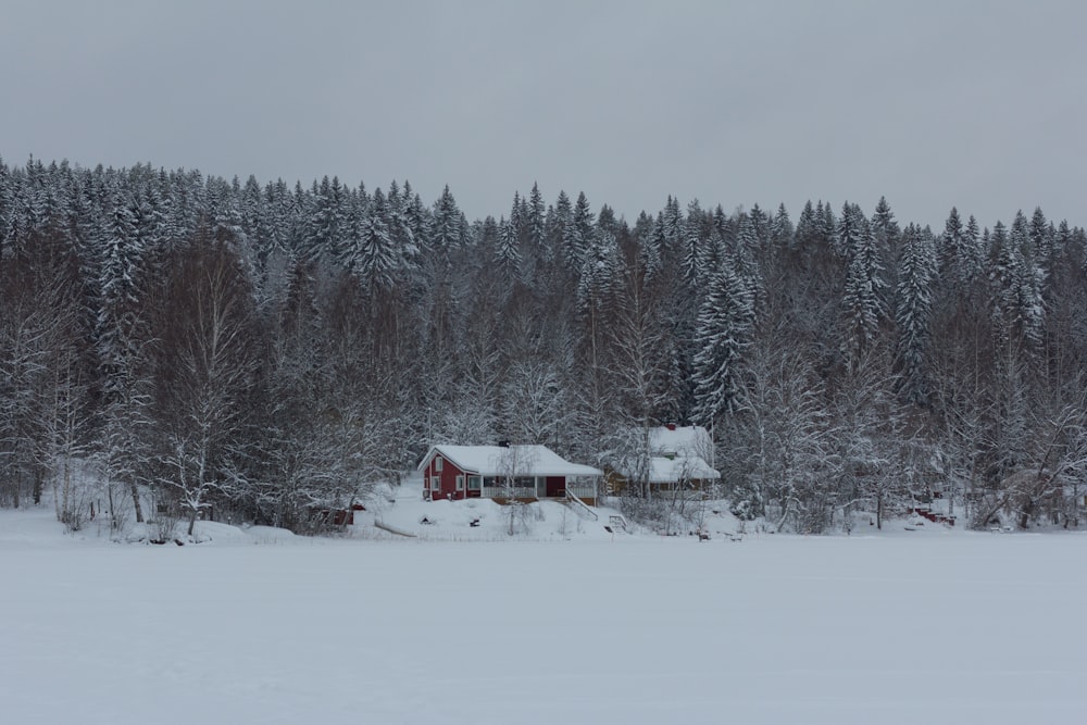 a house in the middle of a snowy field