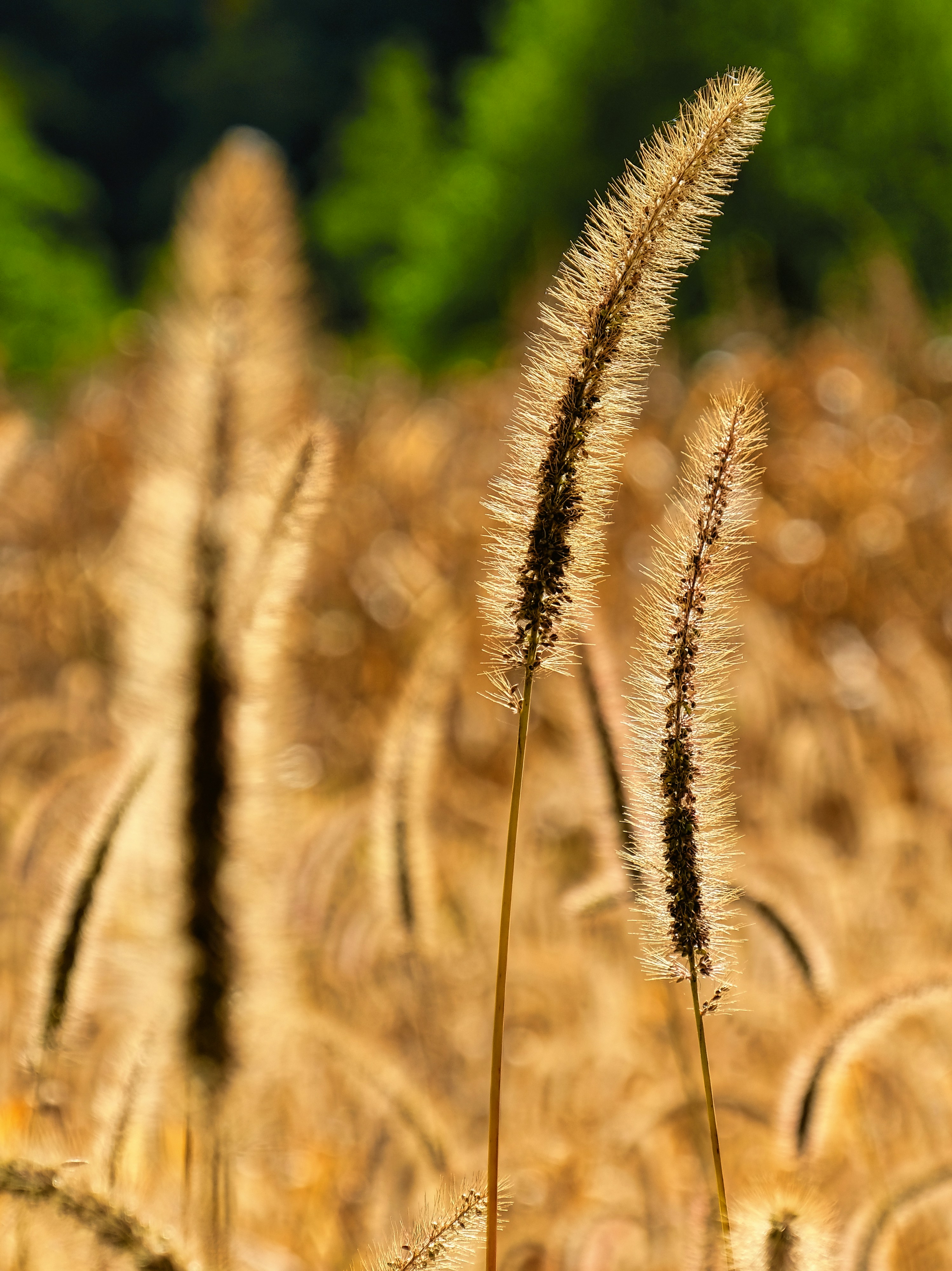 Photo by magictravel