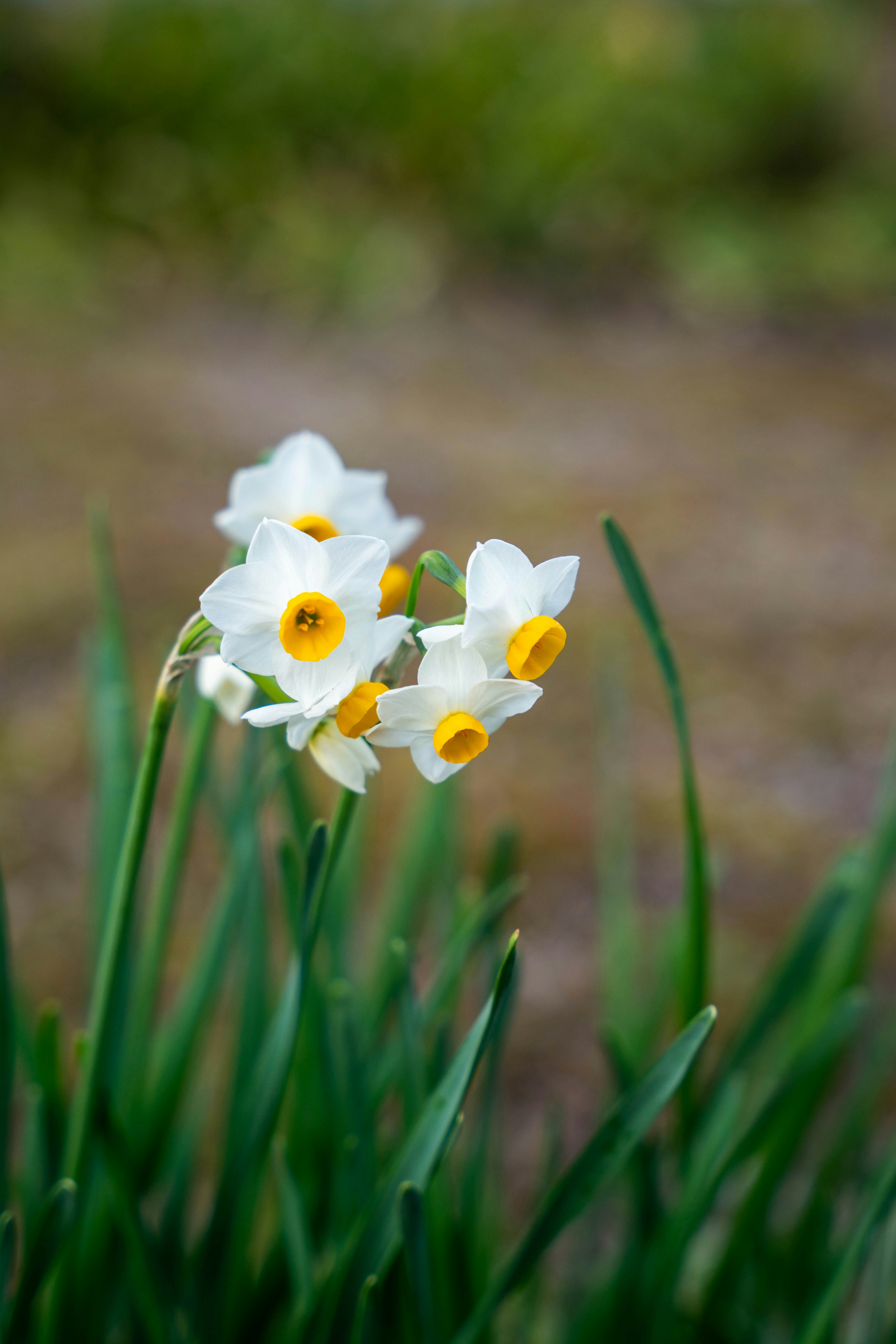 Photo by davidemrich