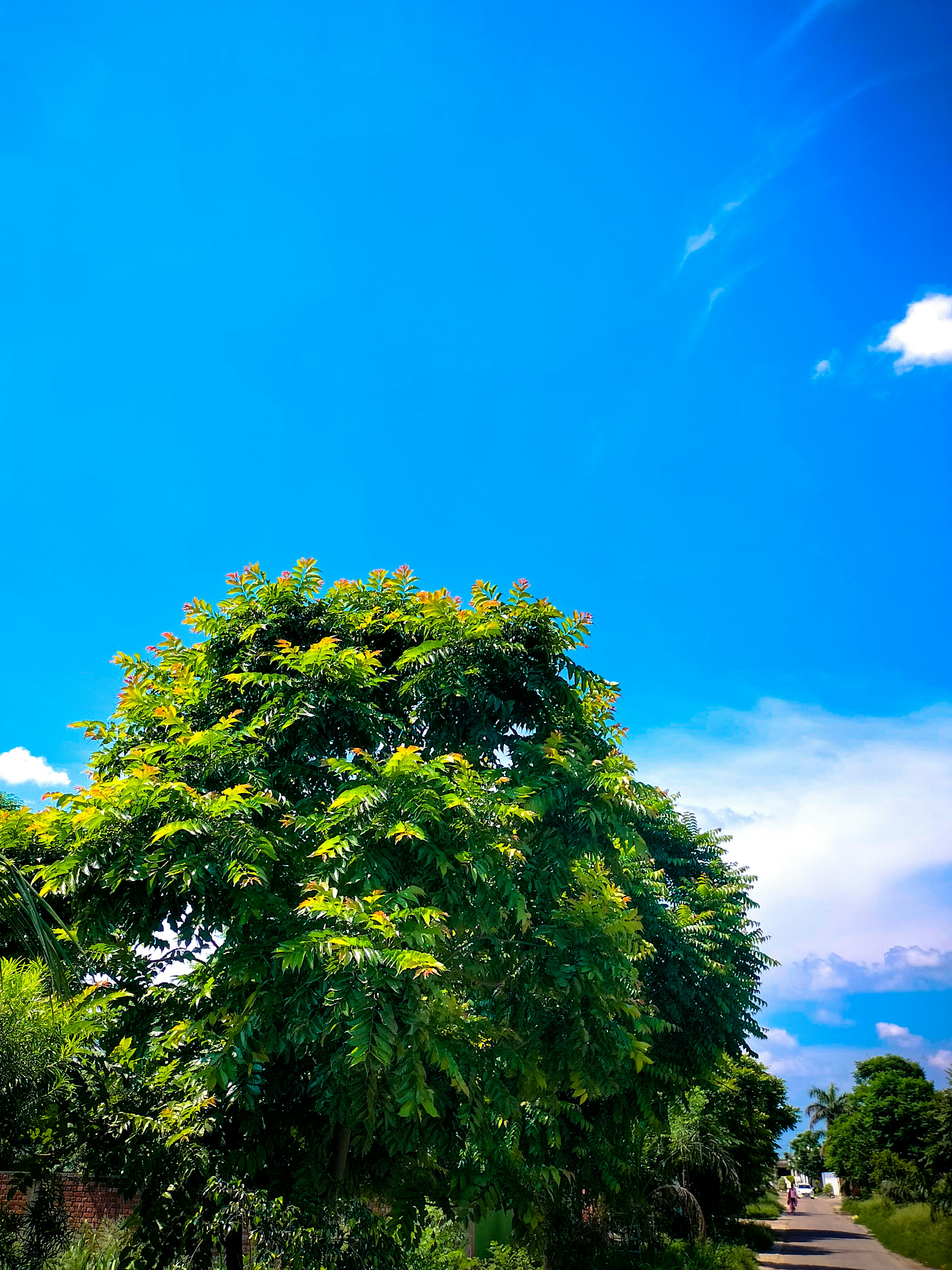 Photo by karan_nature_photography