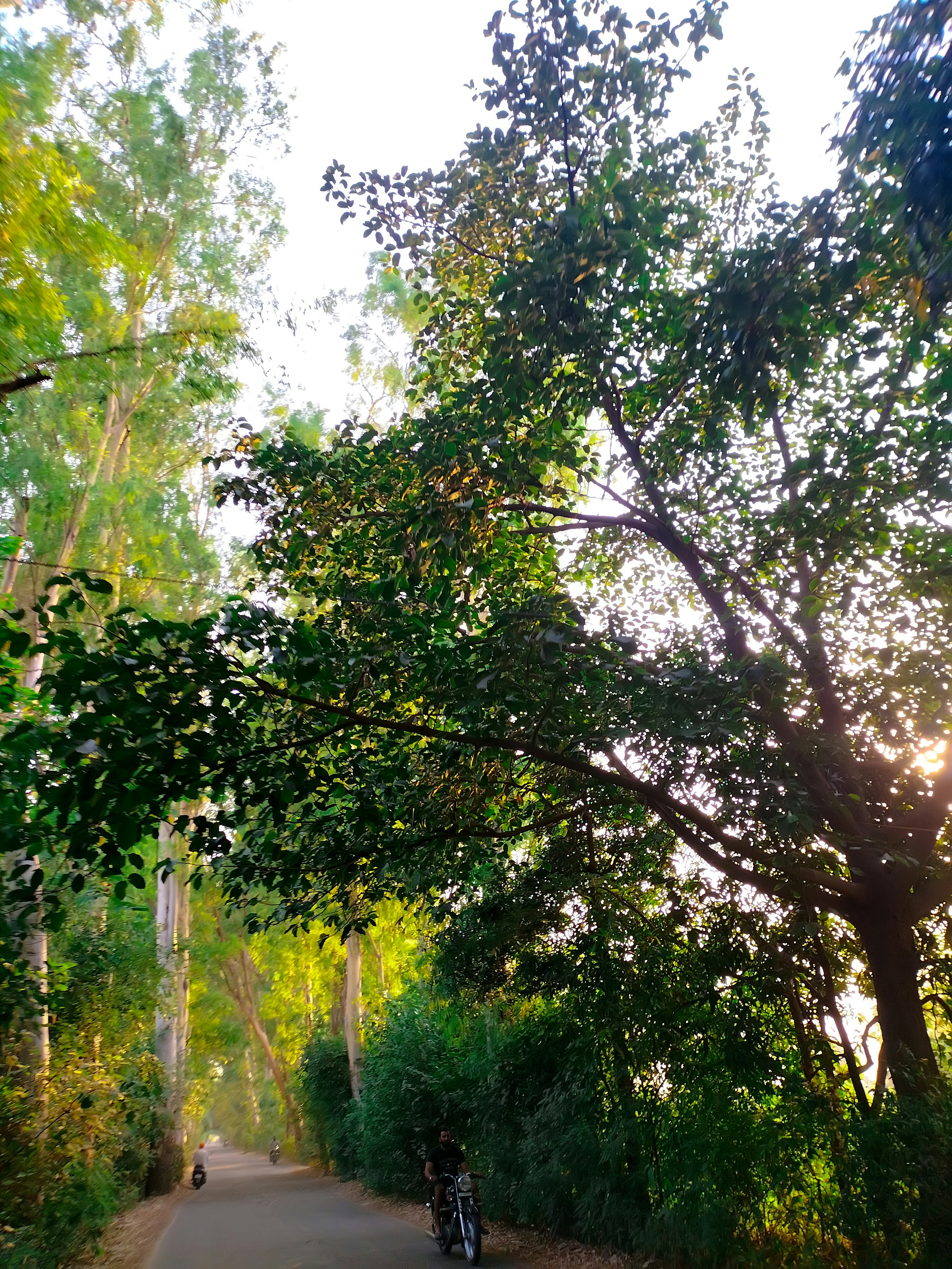 Photo by karan_nature_photography