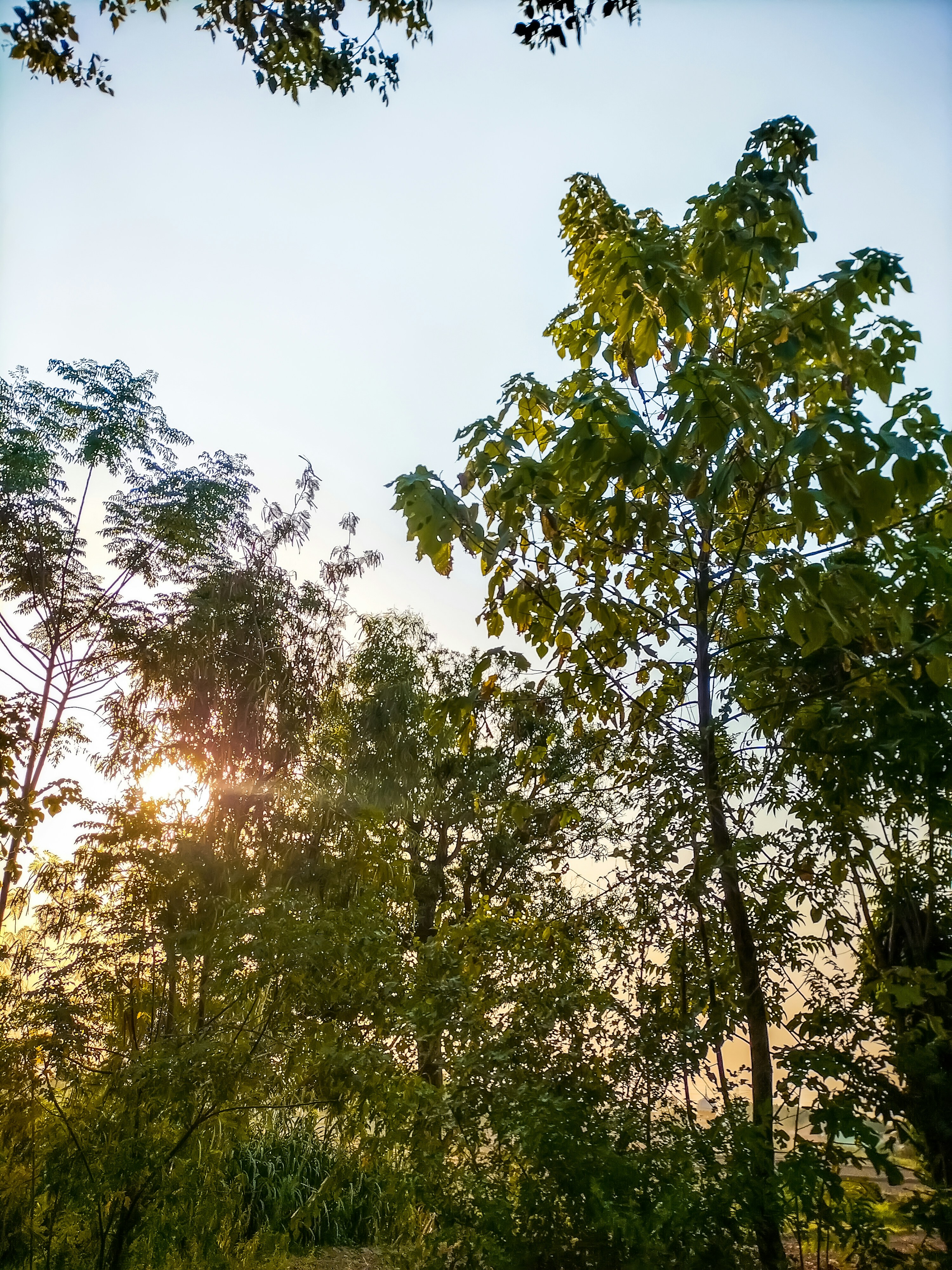 Photo by karan_nature_photography