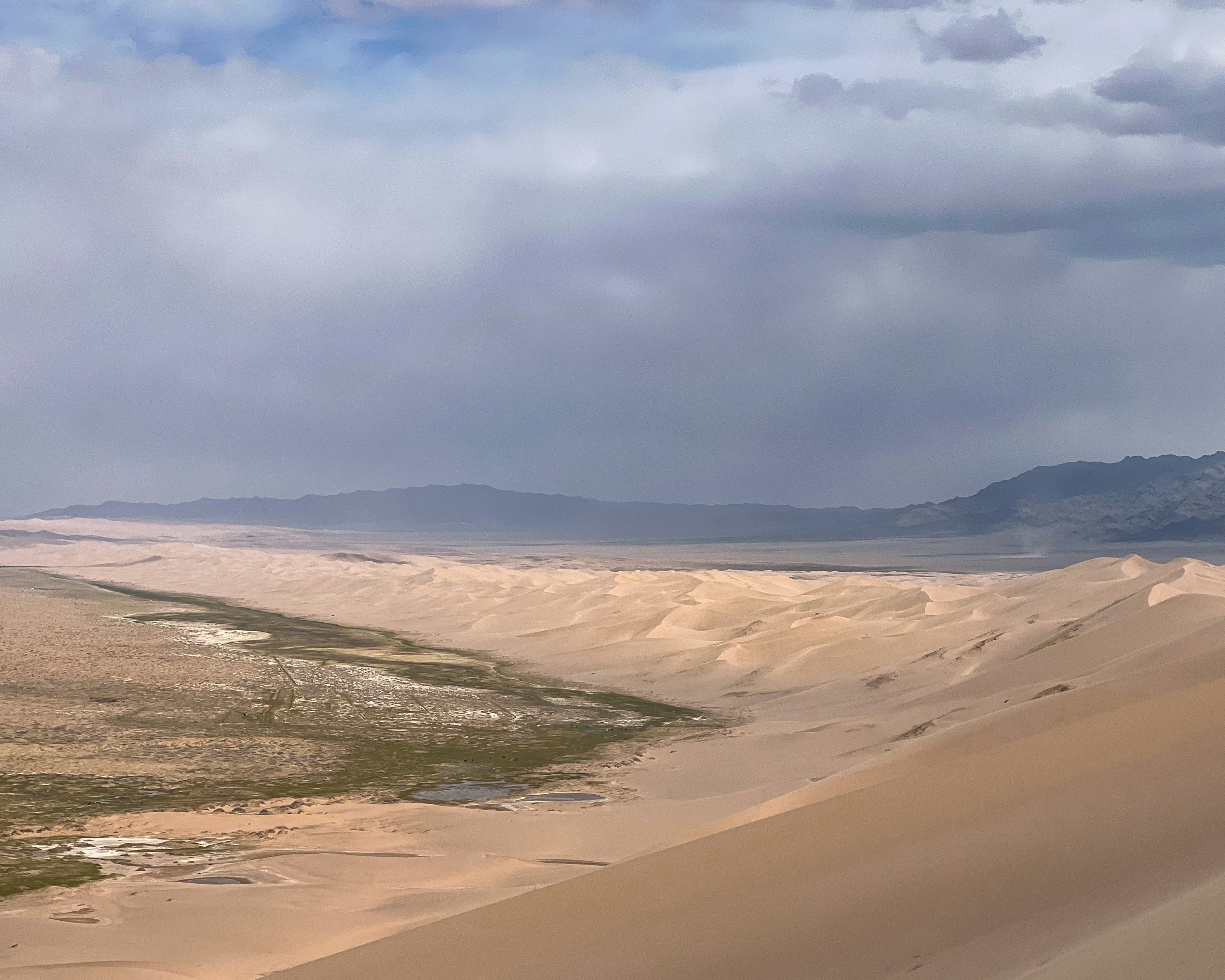 Vue imprenable sur les dunes de sable du désert sous un soleil radieux