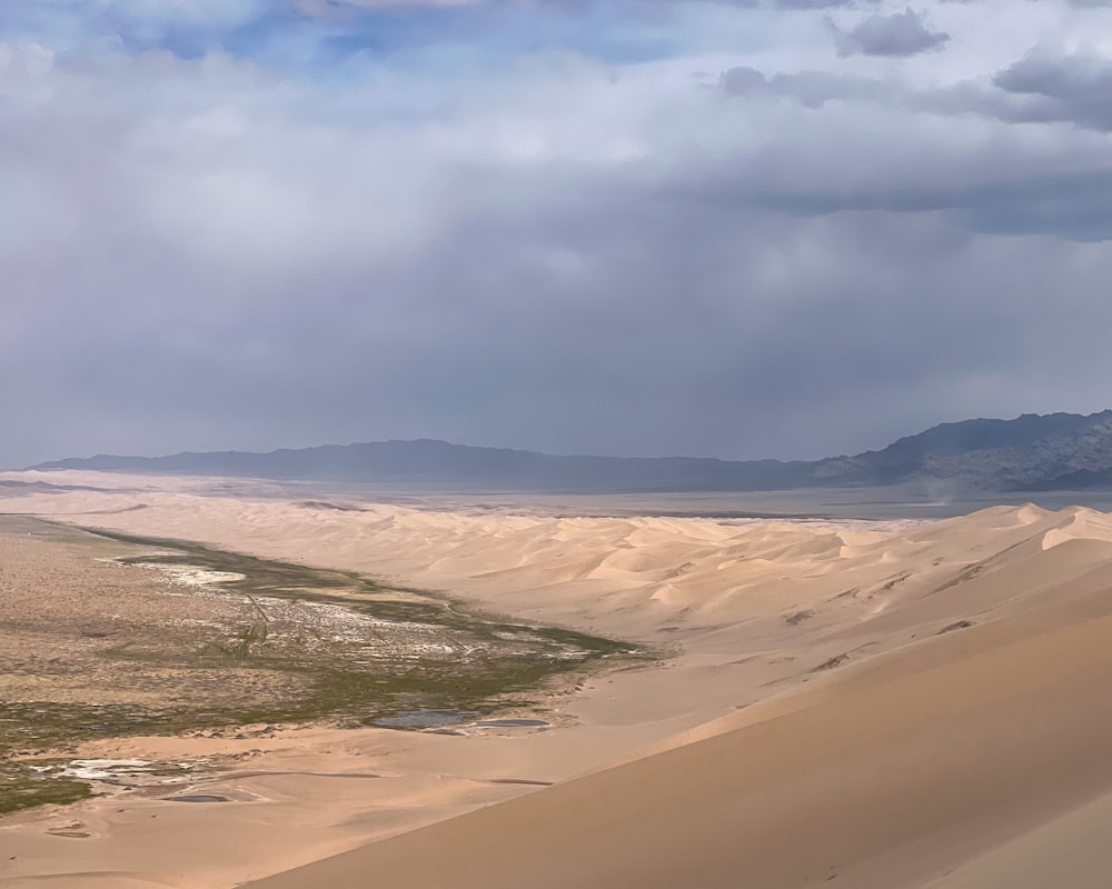 a view of the desert from the top of a sand dune