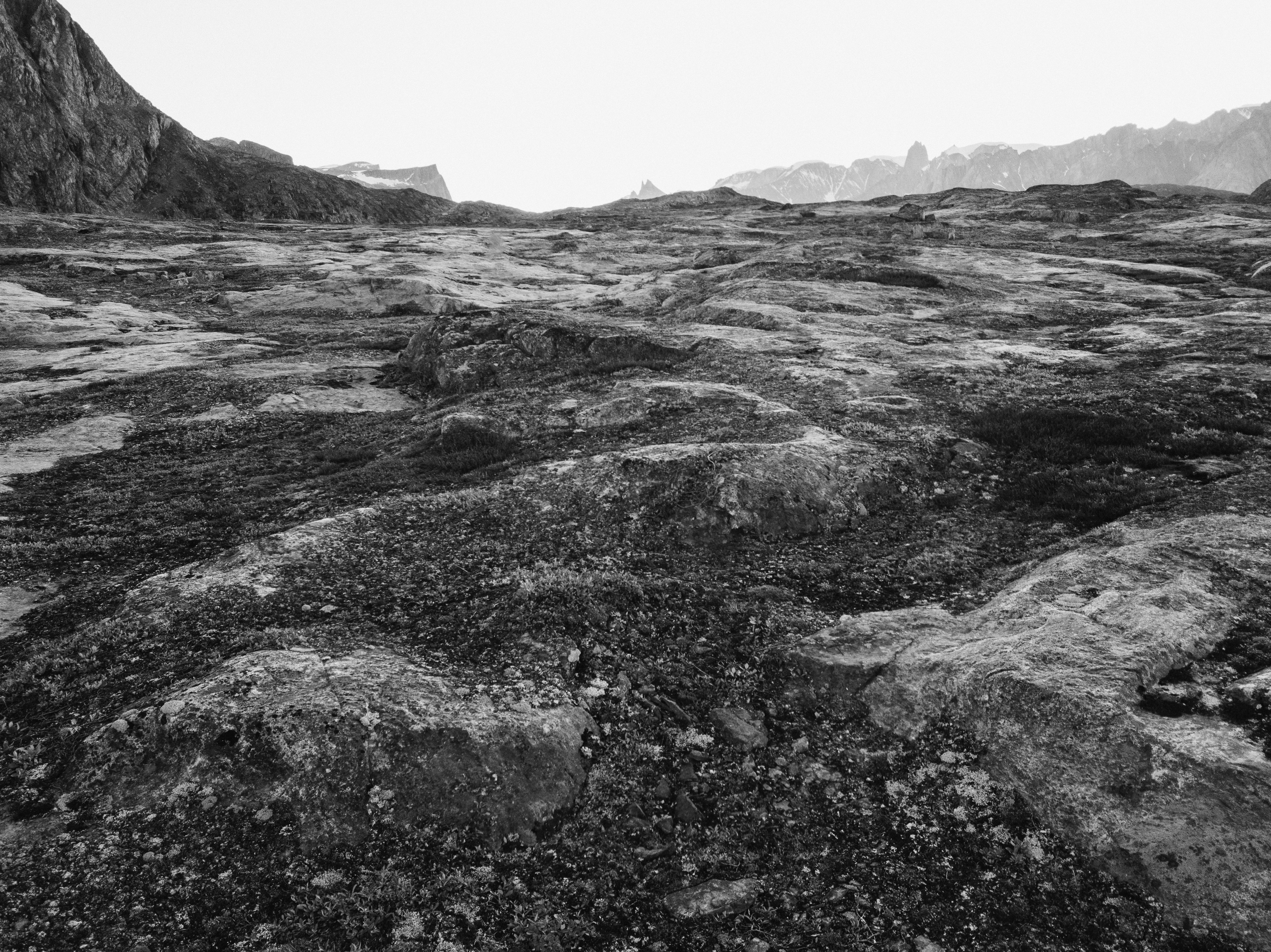 Photo by anniespratt