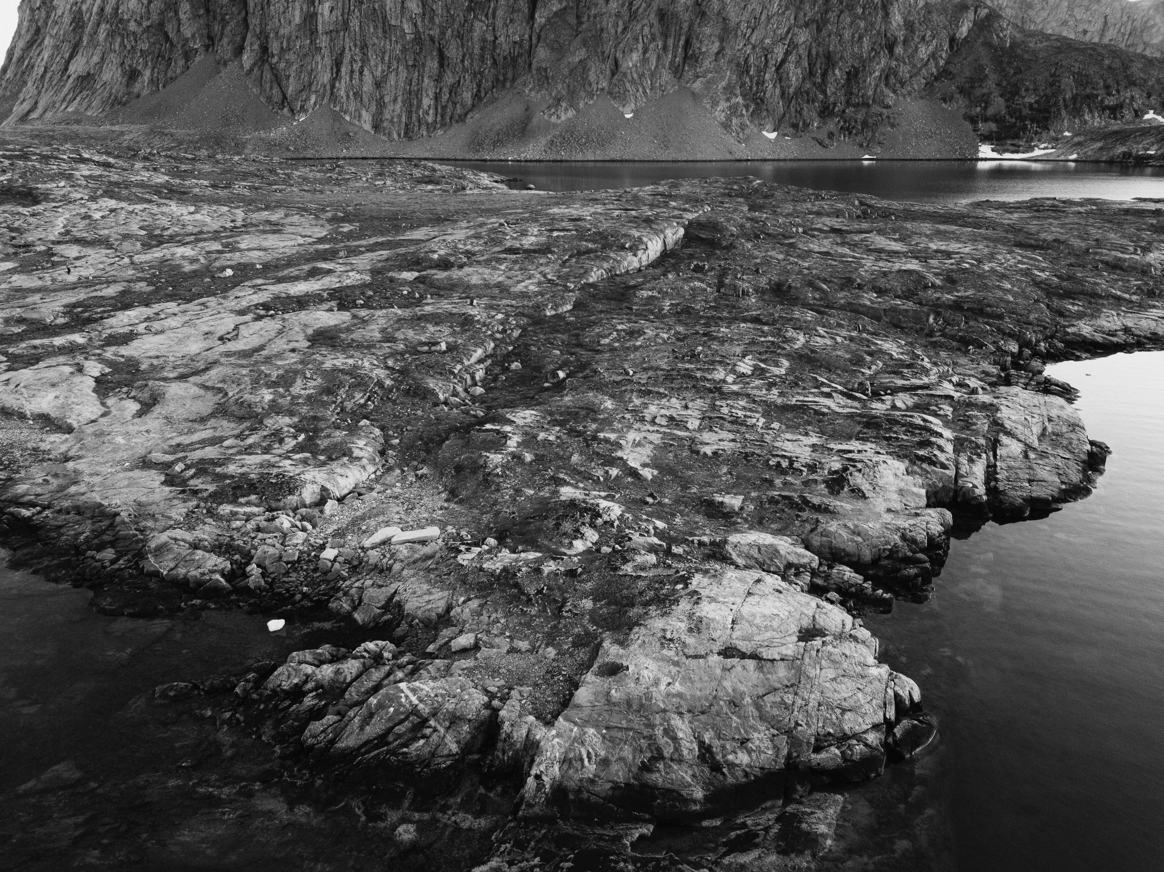 Photo by anniespratt