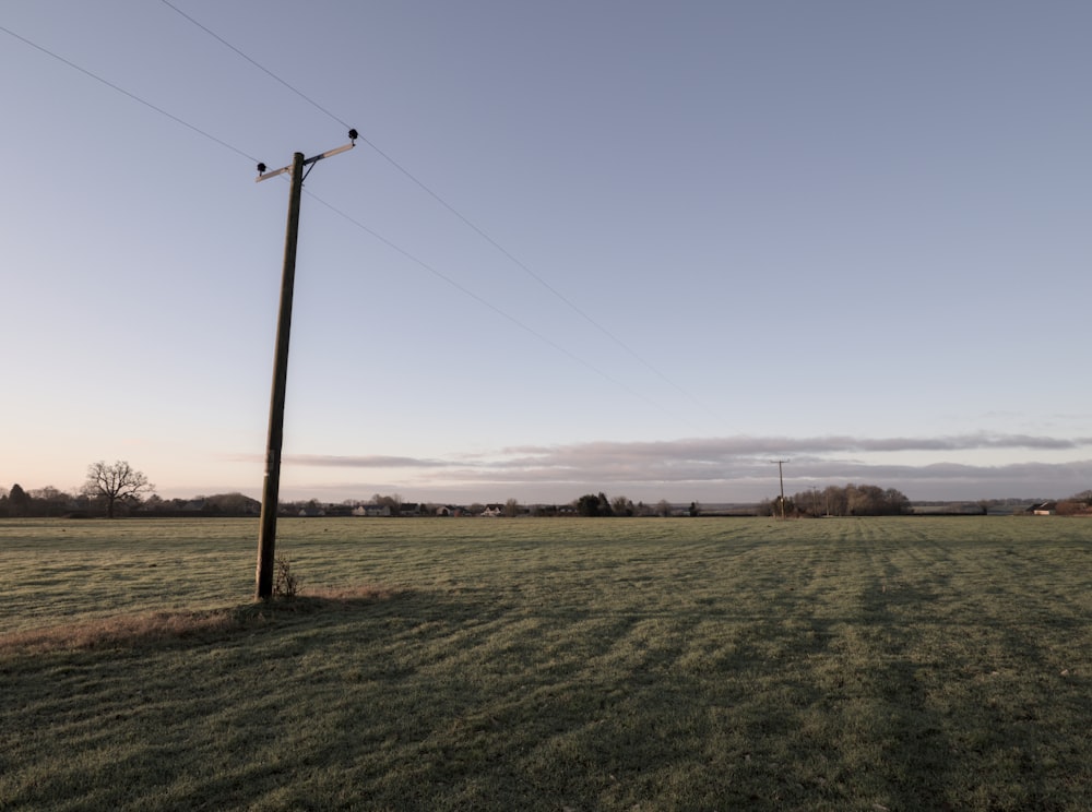 a field with a telephone pole in the middle of it