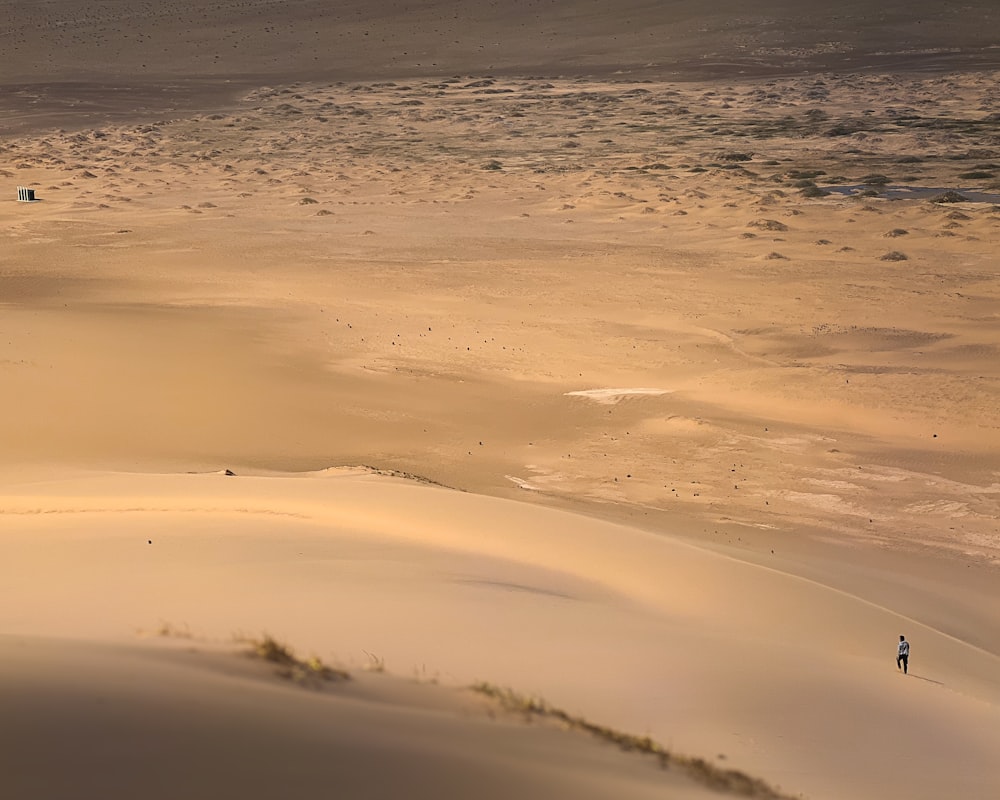 a person walking across a sandy field