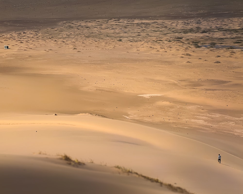 砂原を歩く人