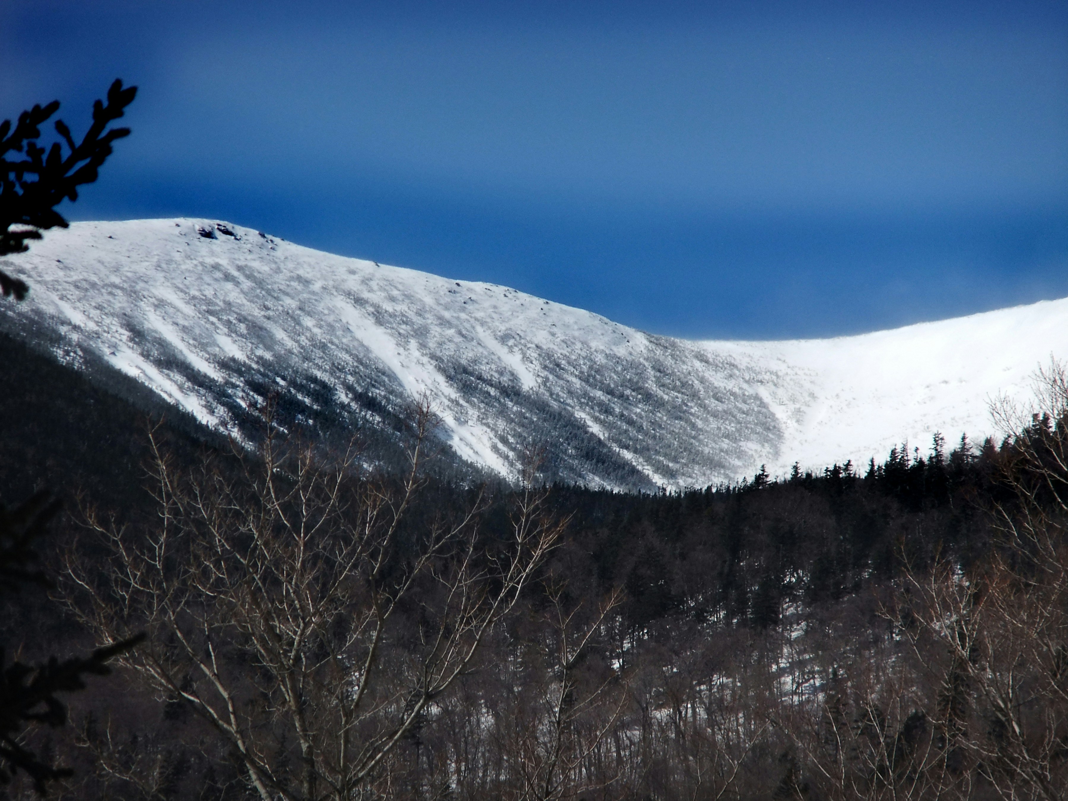 a snow covered mountain with trees in the foreground