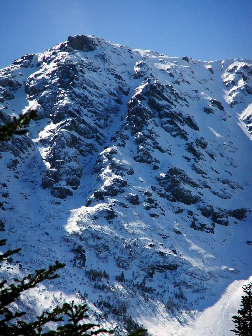 une montagne couverte de neige avec des arbres au premier plan