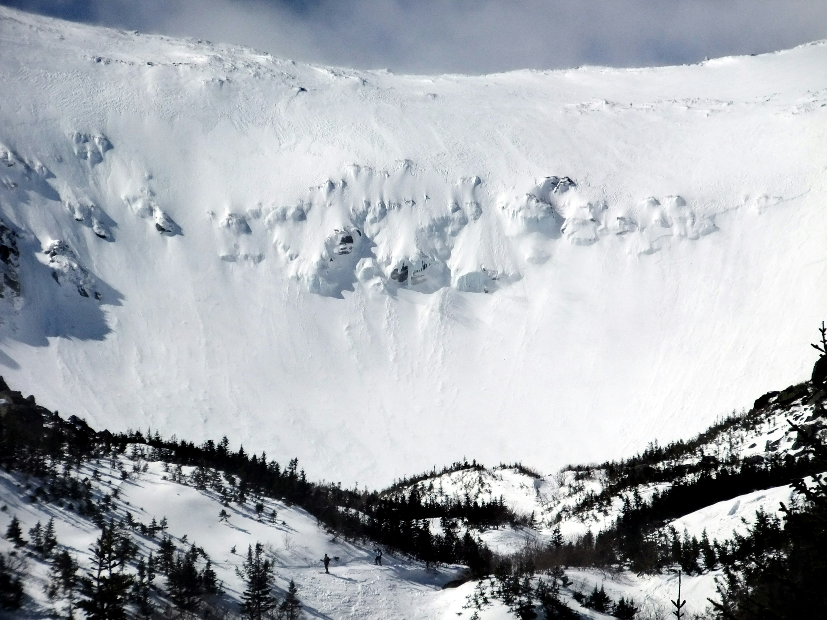 雪に覆われた山で、側面に木々が生い茂っています
