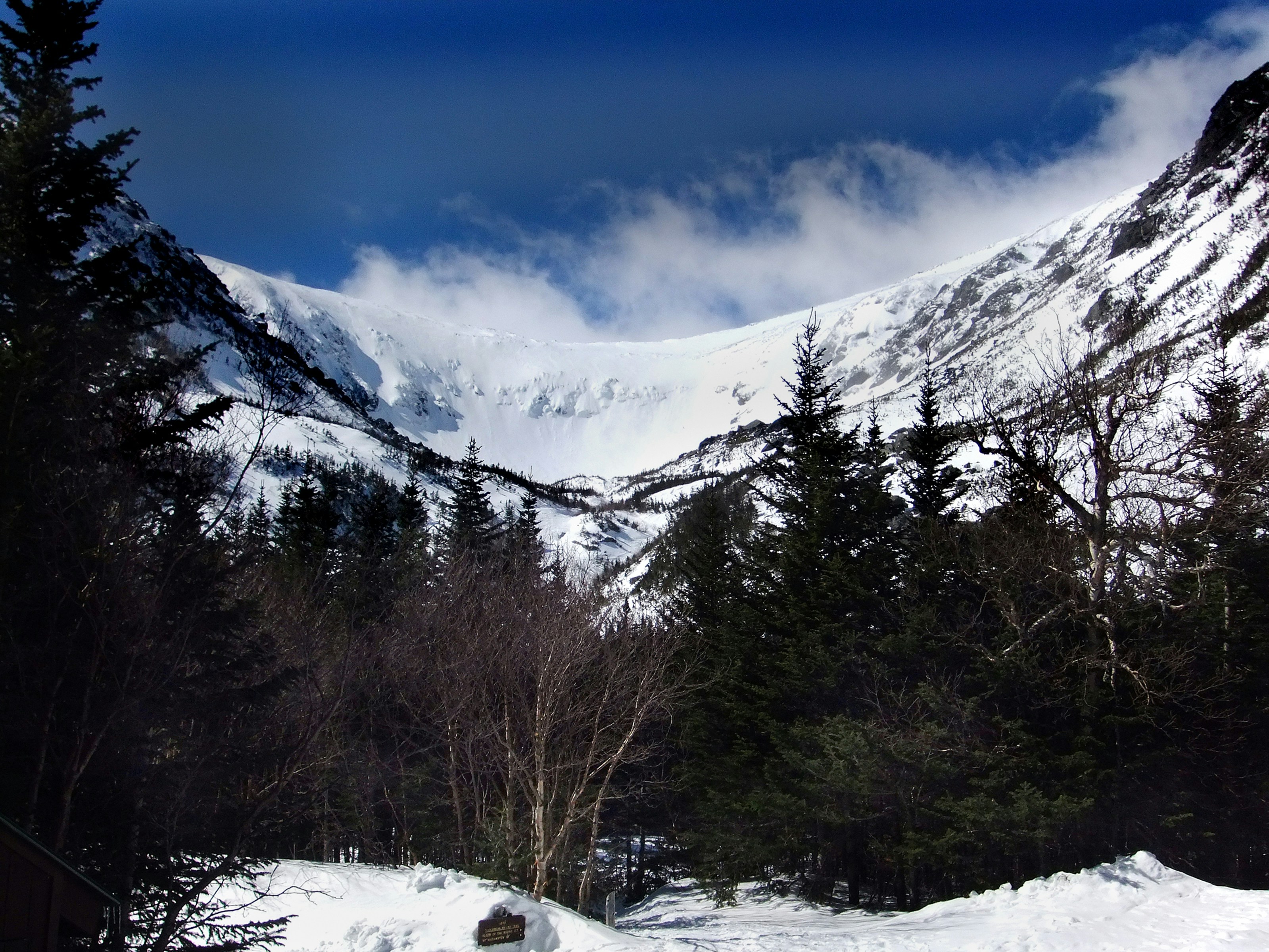 木々とベンチのある雪山