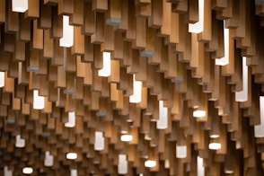 a ceiling made up of wooden squares and lights