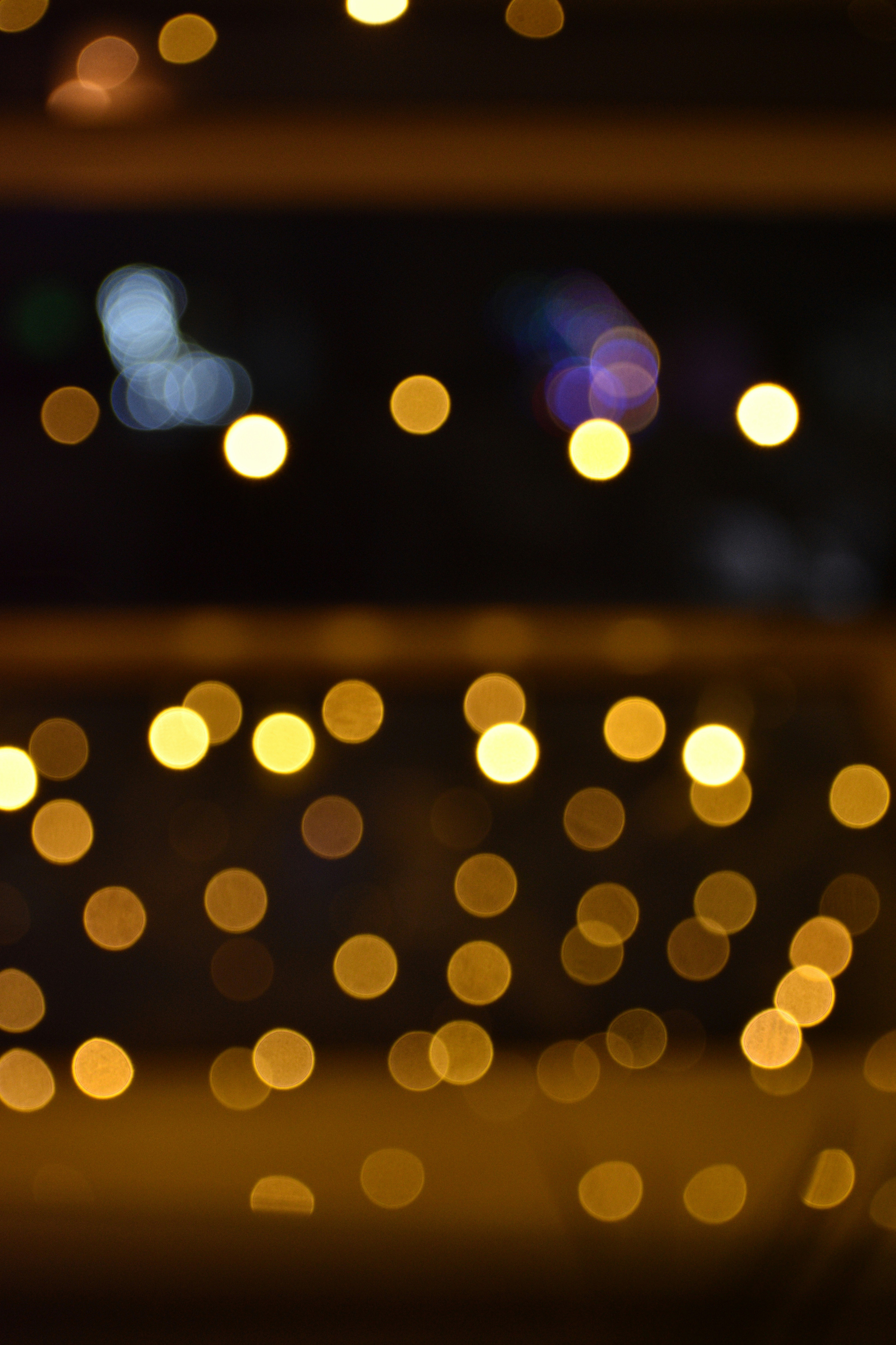 Photo by v_i_s_h_n_u