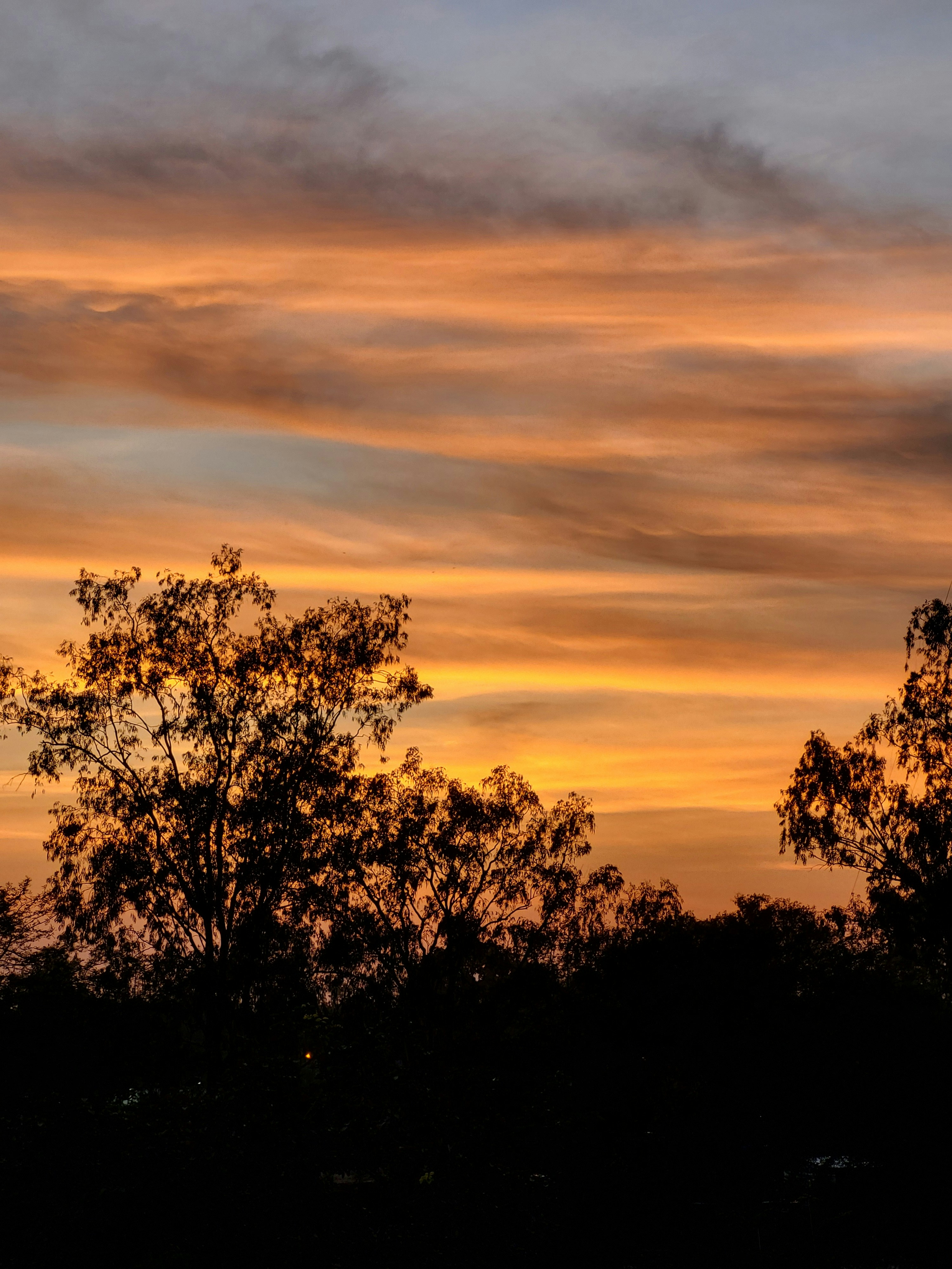 Photo by v_i_s_h_n_u