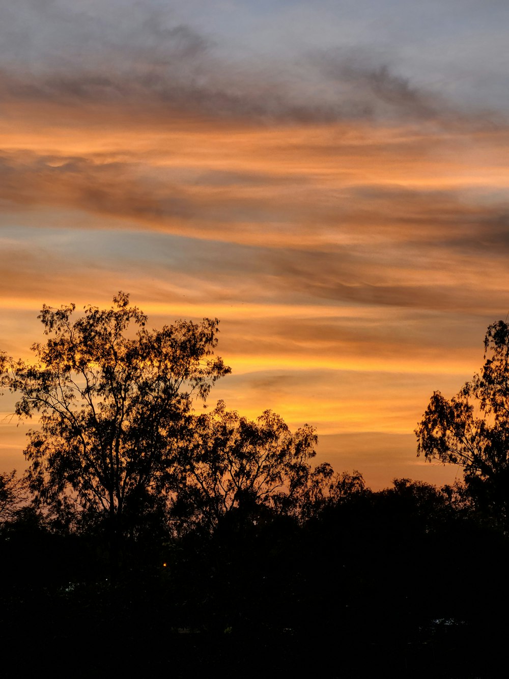 a plane flying in the sky with trees in the foreground