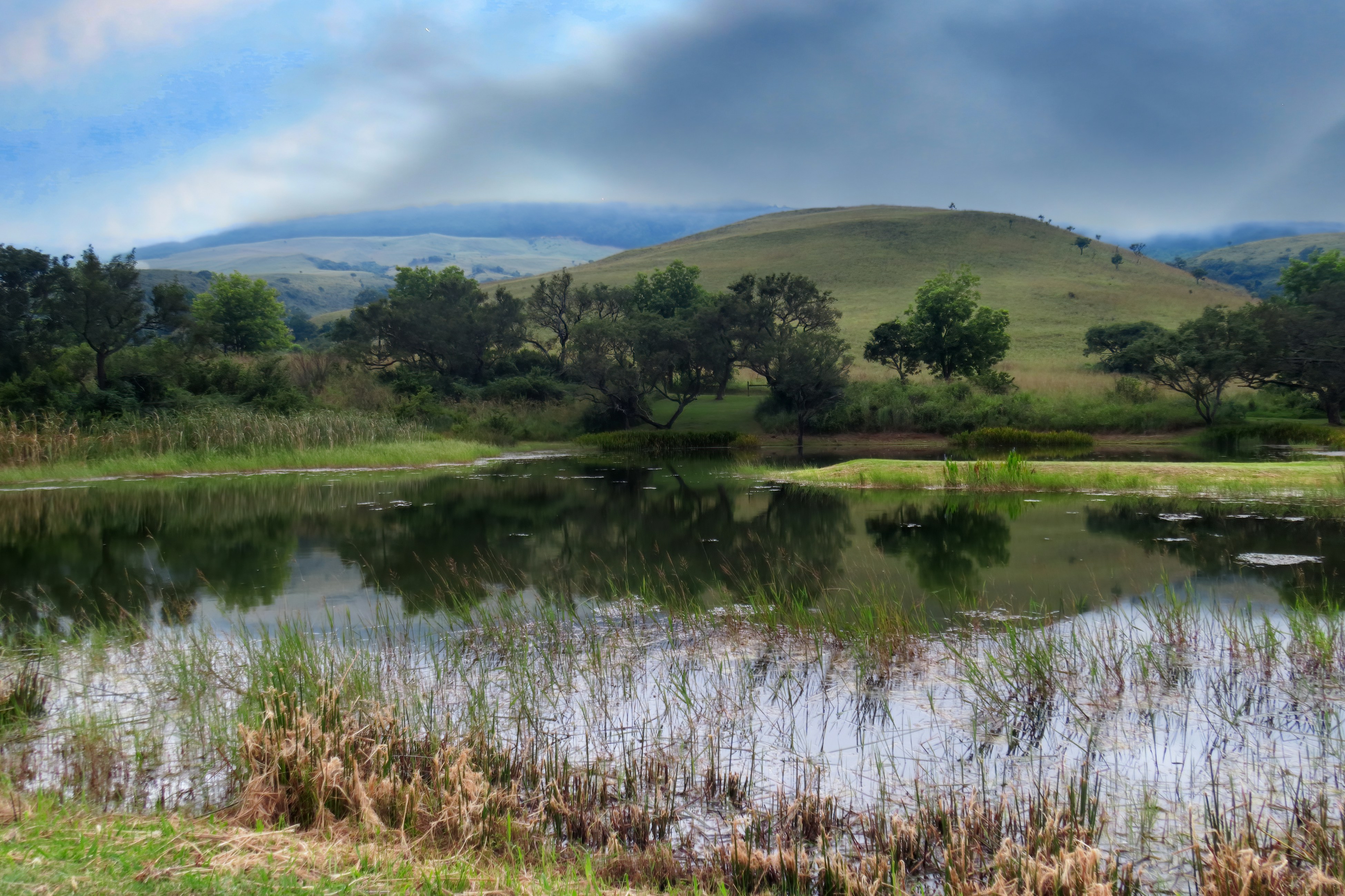 Photo by bullterriere