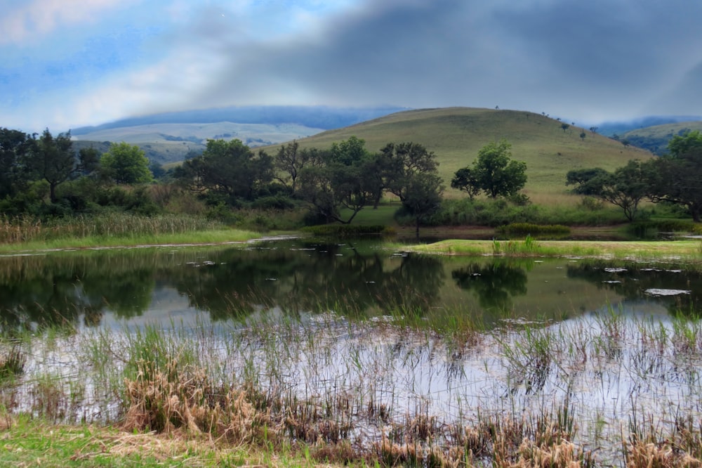 a lake surrounded by grass and trees with mountains in the background