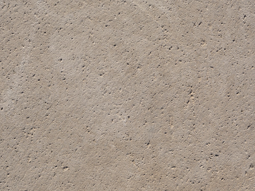 a bird is standing on the sand by itself