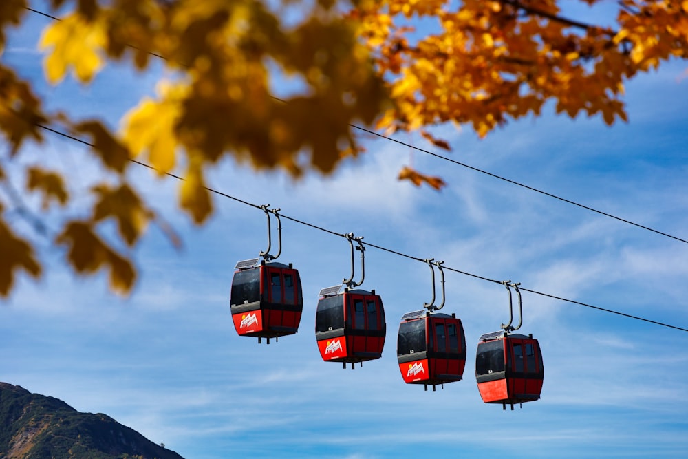 a group of red and black gondolas hanging from a wire