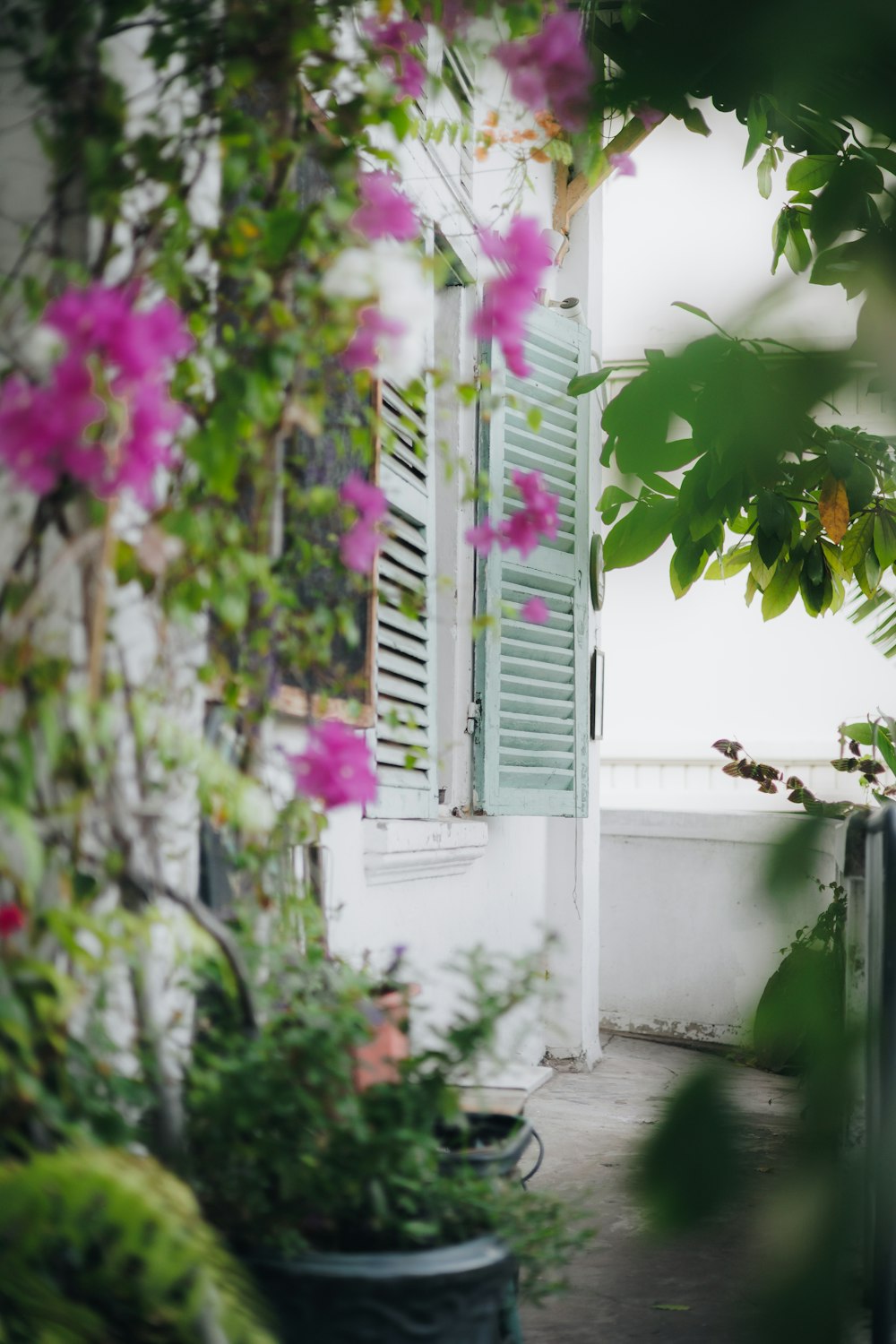 a white building with a green shuttered window