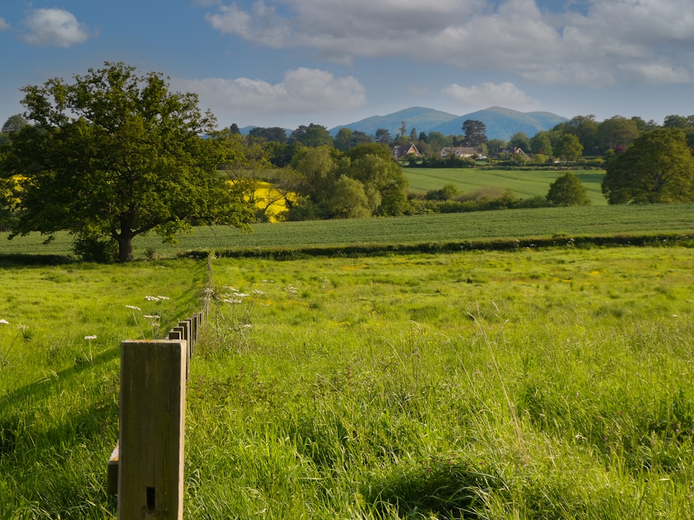 a wooden fence in a grassy field with mountains in the background