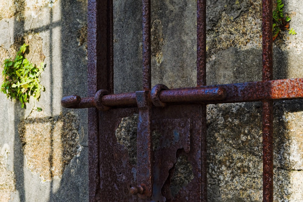 a rusted iron gate with vines growing on it