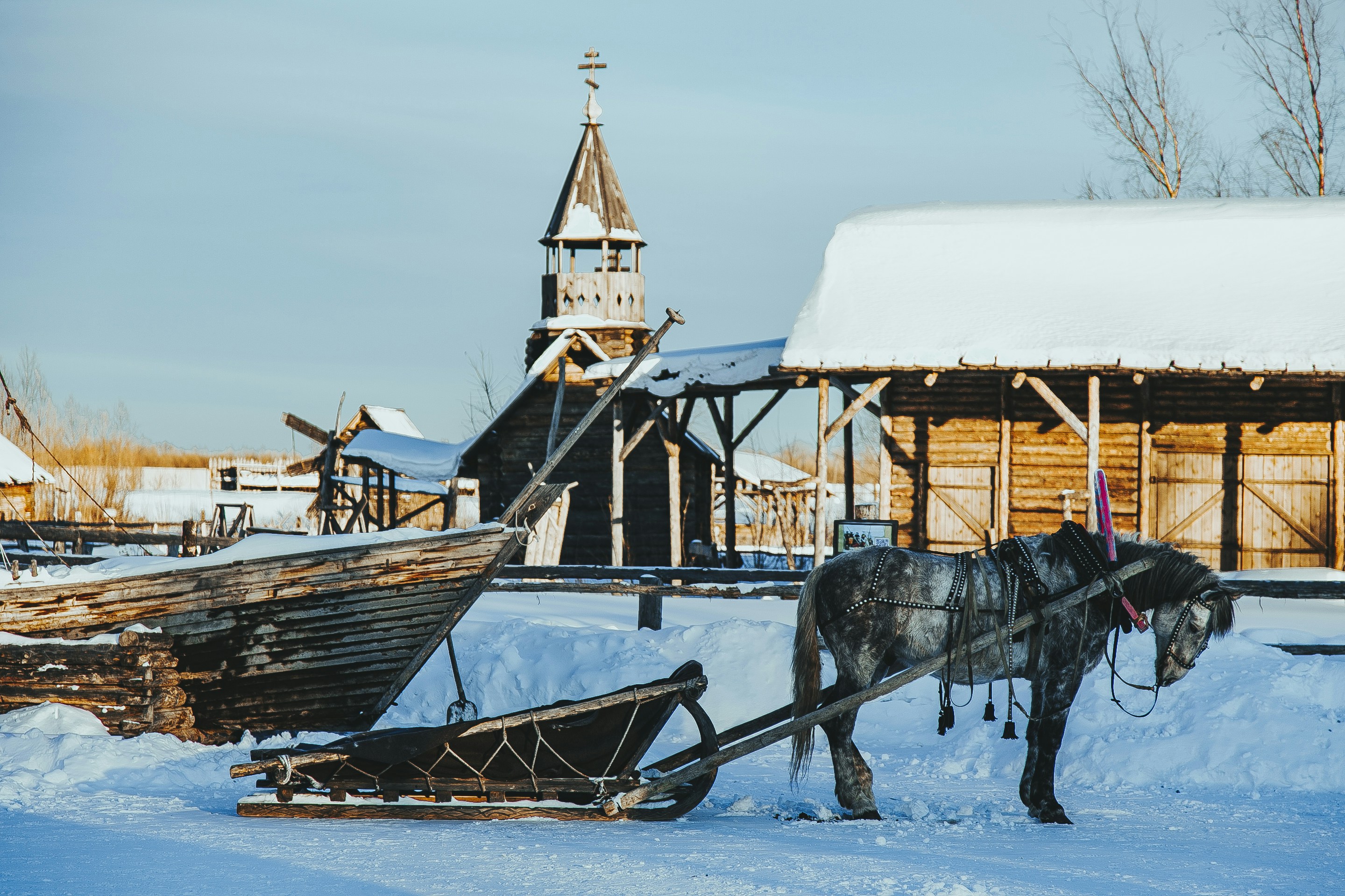 Photo by albert_klein