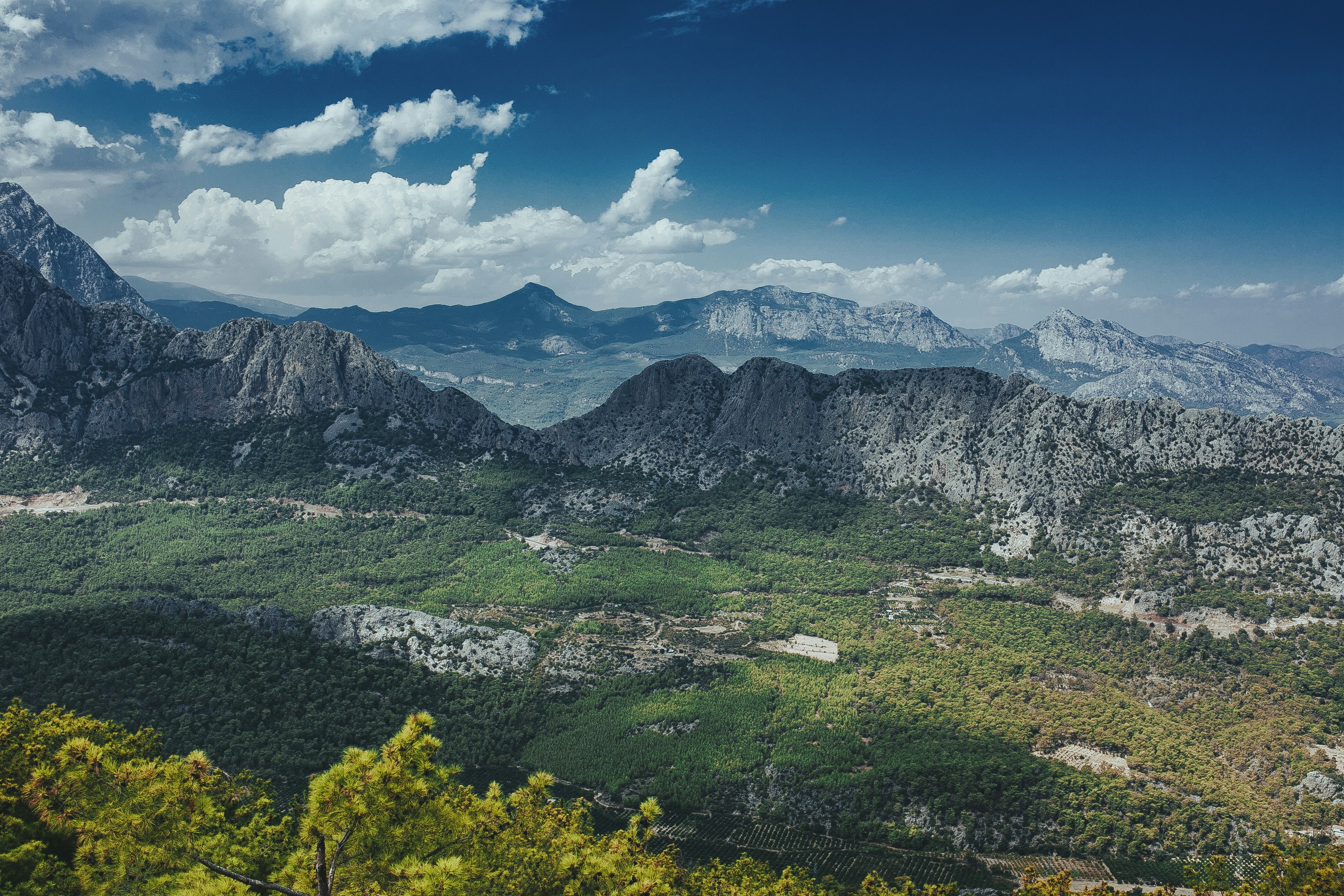 Photo by albert_klein