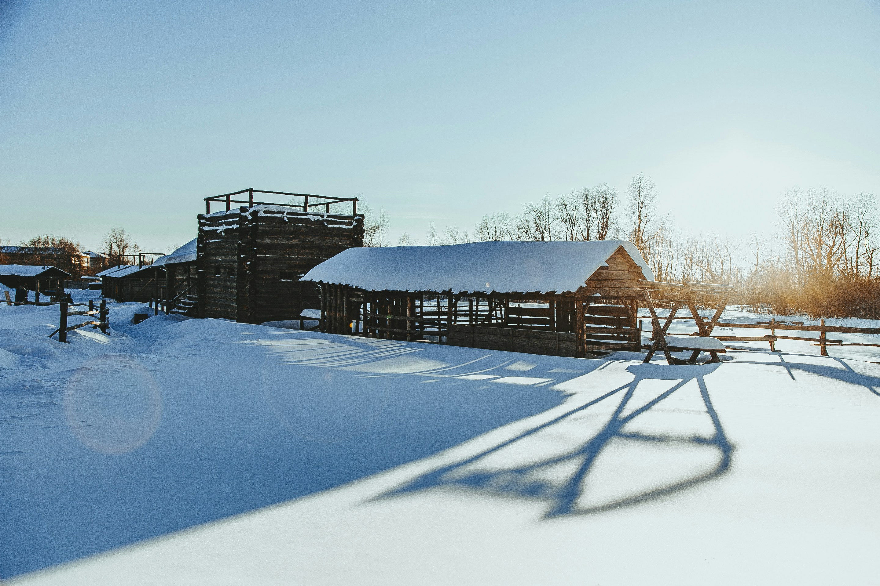 Photo by albert_klein